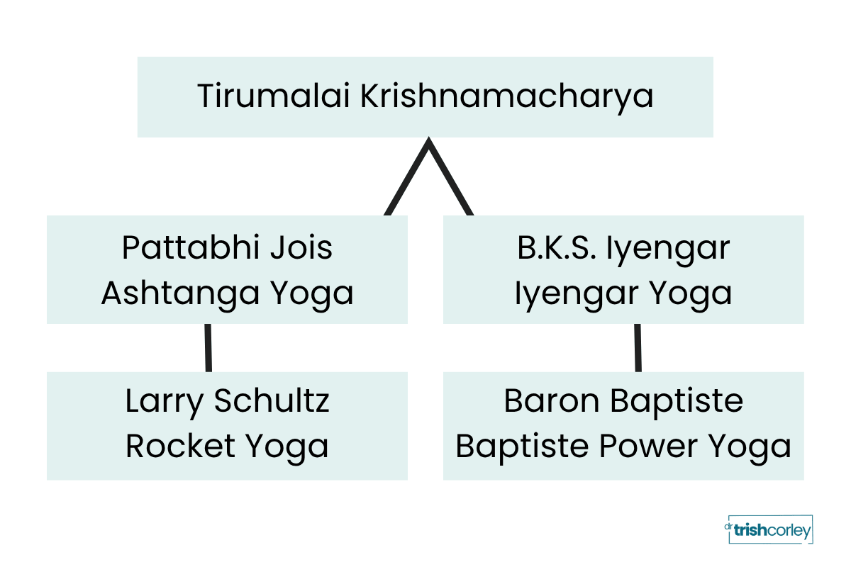 Yoga lineage chart showing the connection from Krishnamacharya to Pattabhi Jois, Larry Schultz, B.K.S. Iyengar, and Baron Baptiste