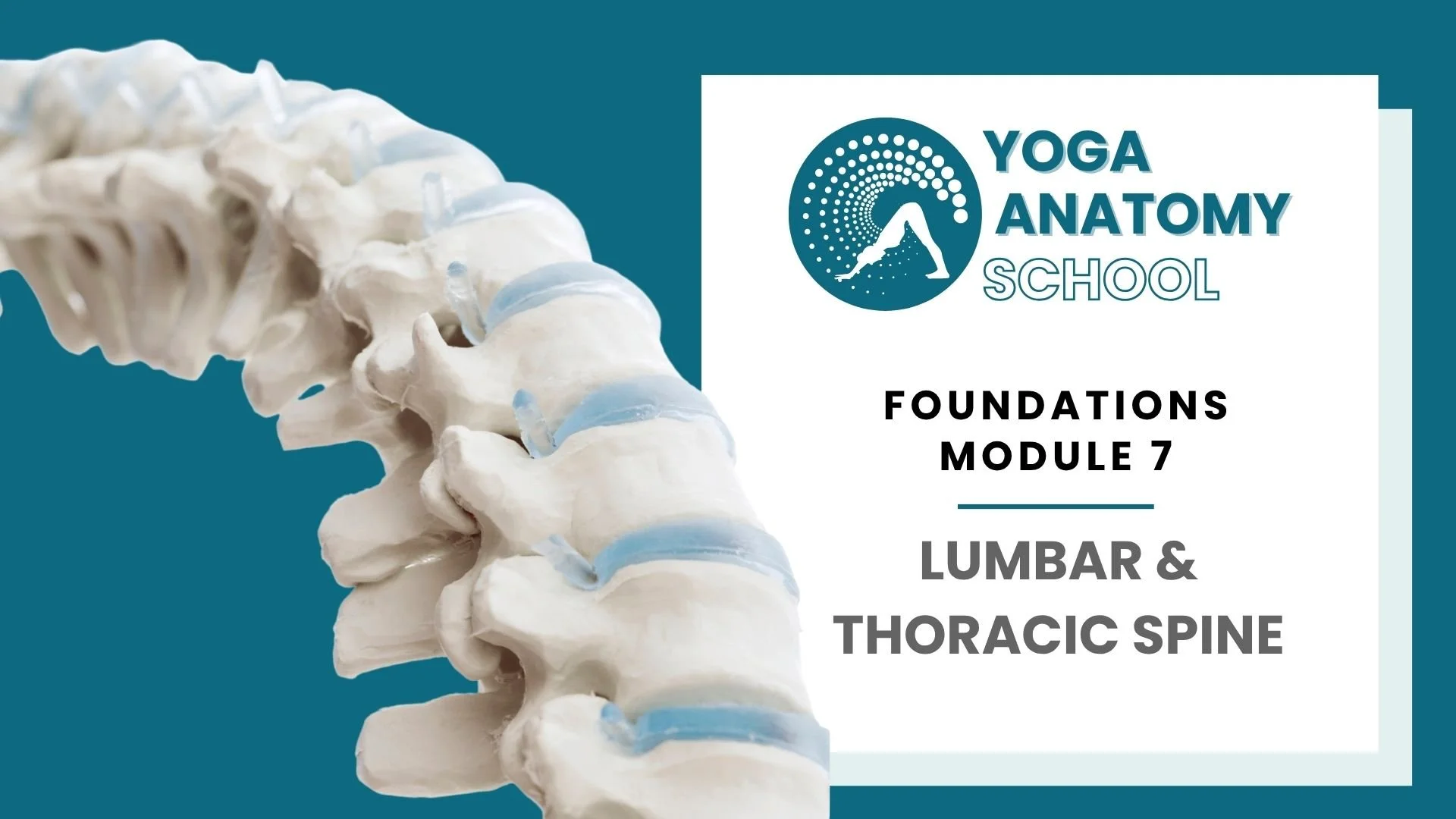 Yoga Anatomy Muscles & Joints - 10 sec video (7).jpg