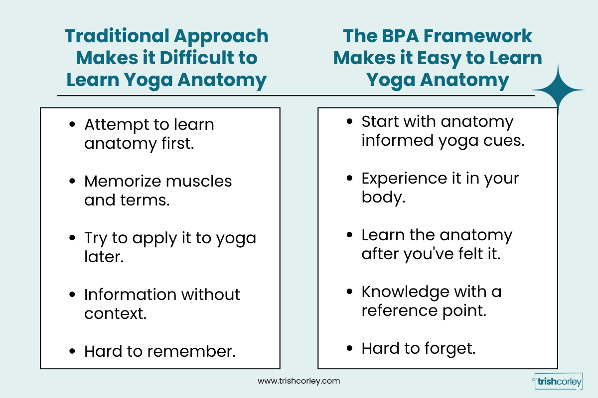 Comparison graphic showing traditional yoga anatomy learning versus the Balanced Posture Alignment approach for yoga teachers