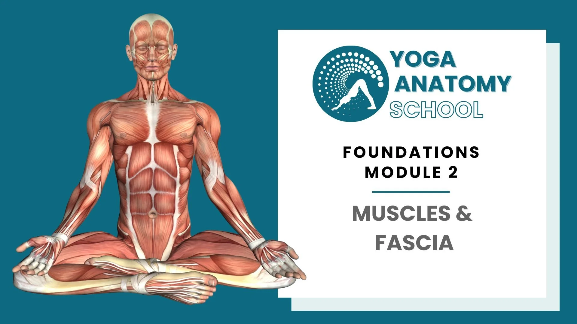 Yoga Anatomy Muscles & Joints - 10 sec video (2).jpg