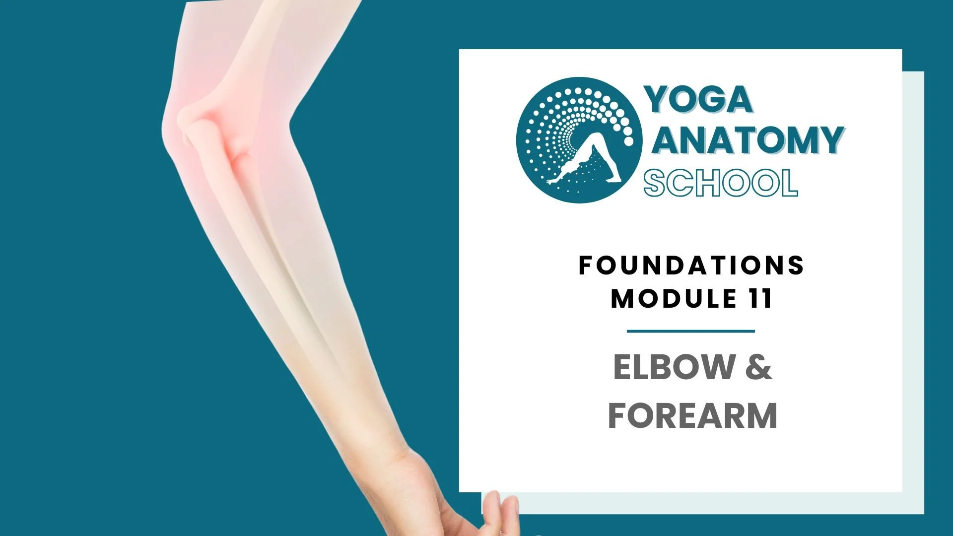 Yoga Anatomy Muscles & Joints - 10 sec video (11).jpg