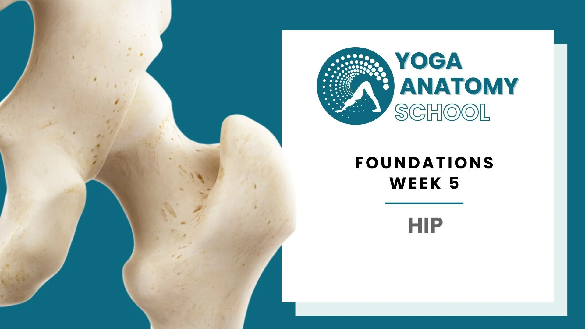 Yoga Anatomy Muscles & Joints - 10 sec video (5).jpg