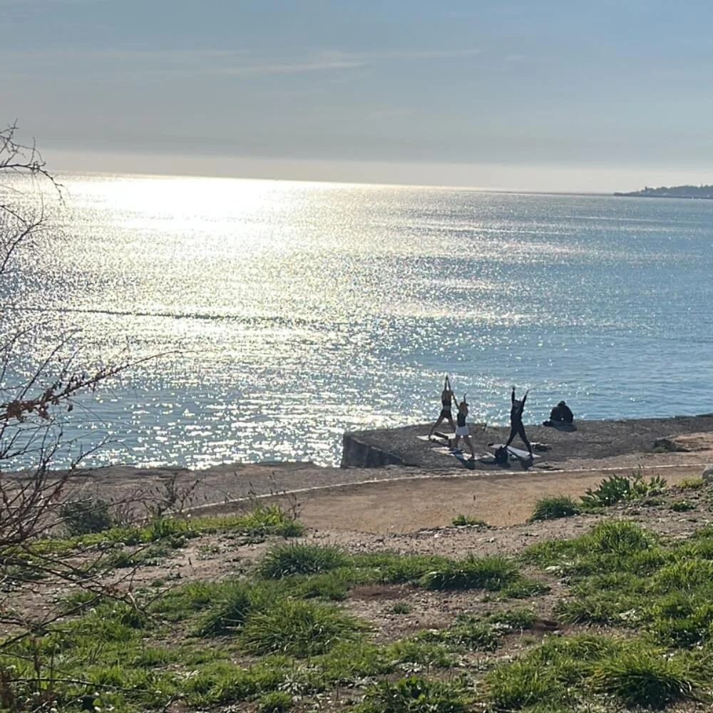 dr trish corley teaching advanced anatomy certification to yoga teachers