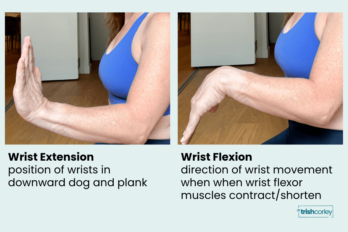 Diagram showing wrist extension in downward dog and plank and wrist flexion when wrist flexor muscles contract