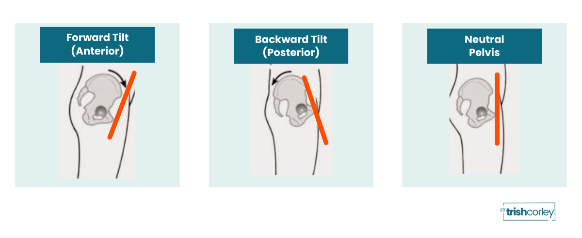 Anterior pelvic tilt, neutral pelvis, and posterior pelvic tilt comparison diagram for yoga alignment