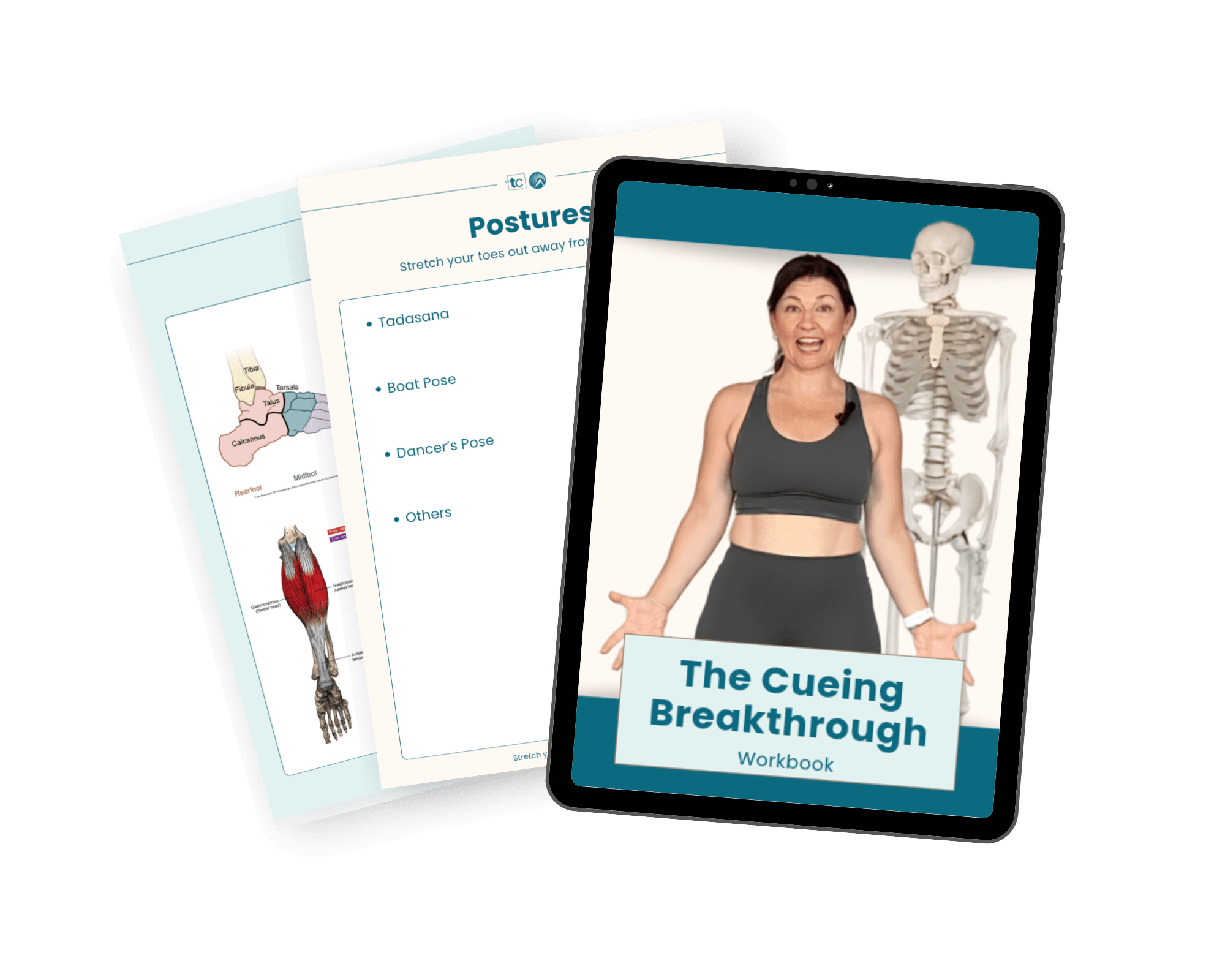 Images from the workbook and anatomy reference guide for the Cueing Breakthrough course