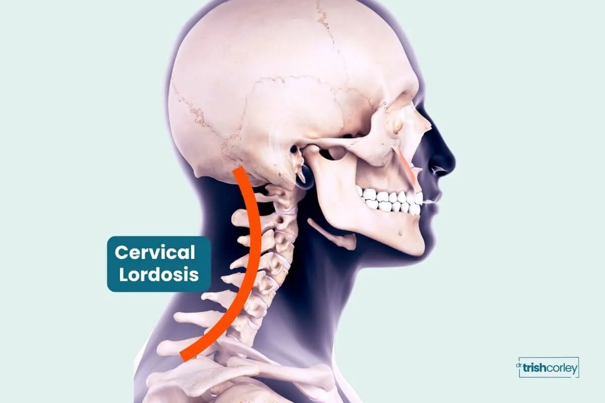 Anatomy graphic showing the natural cervical lordosis and its relevance to locust pose cues
