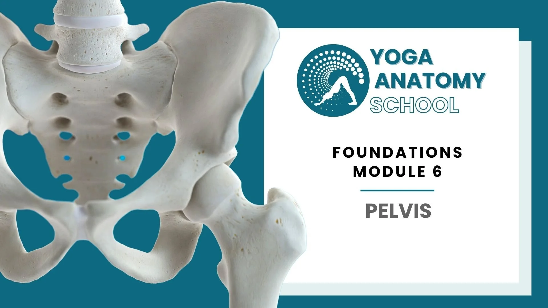 Yoga Anatomy Muscles & Joints - 10 sec video (6).jpg