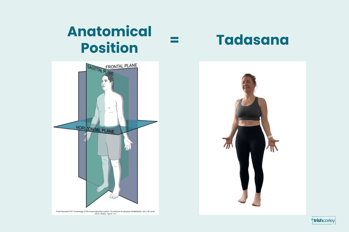 ide-by-side comparison of anatomical position diagram and Trish Corley demonstrating Tadasana