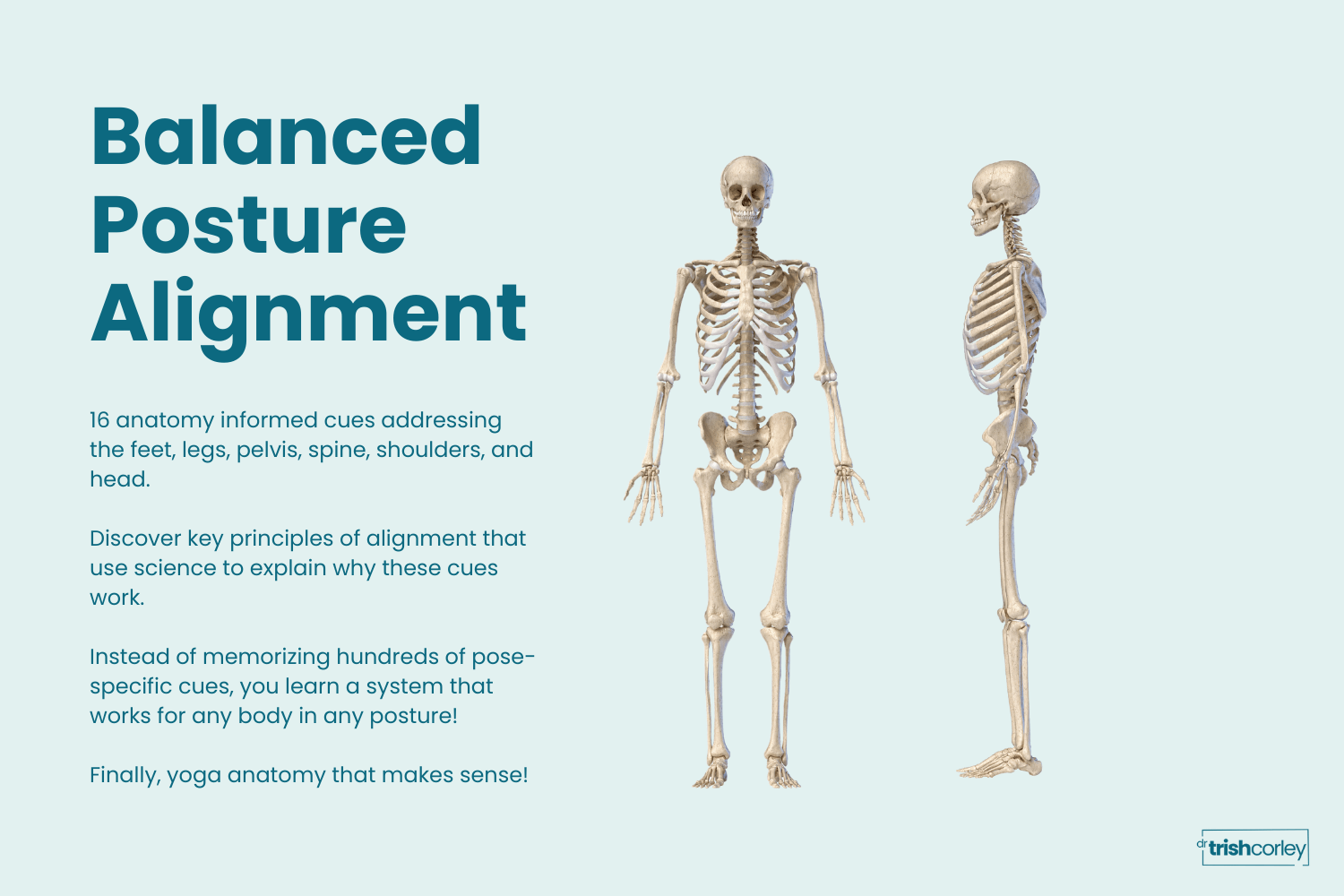 Balanced Posture Alignment framework showing six body regions: feet, legs, pelvis, spine, shoulders, head