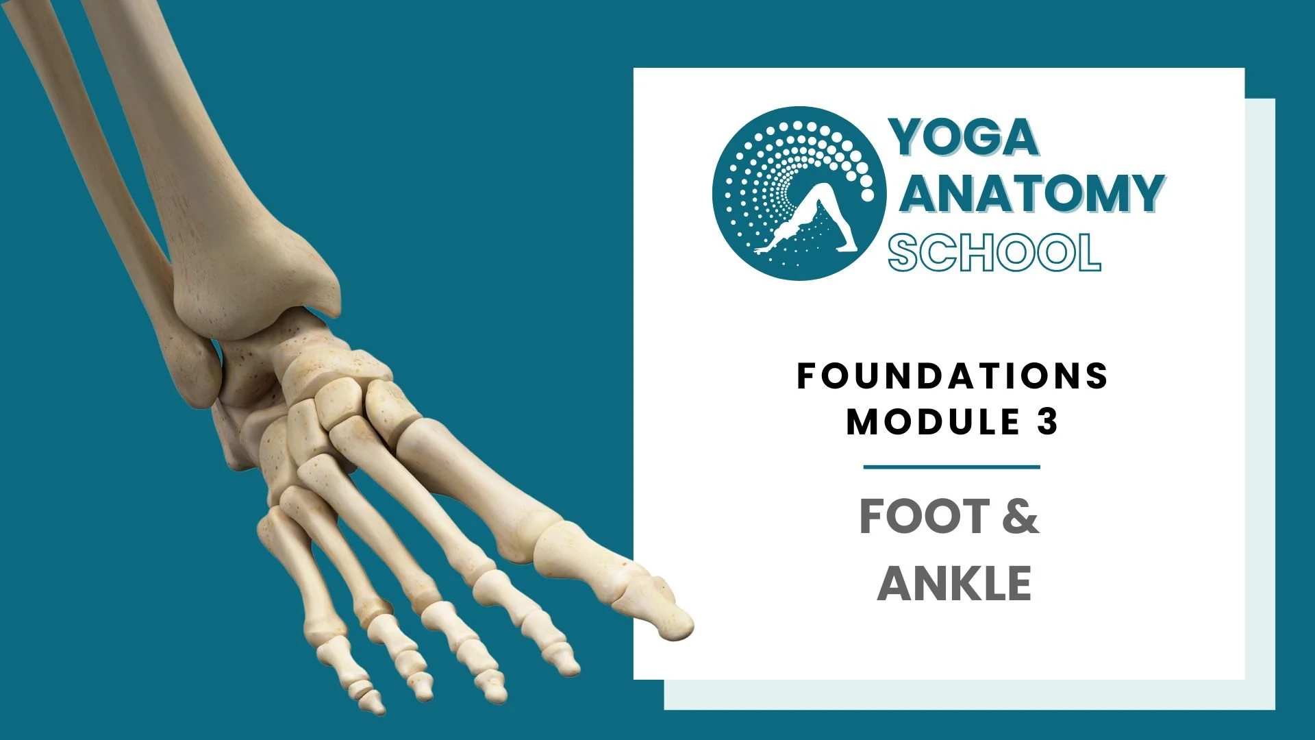 Yoga Anatomy Muscles & Joints - 10 sec video (3).jpg