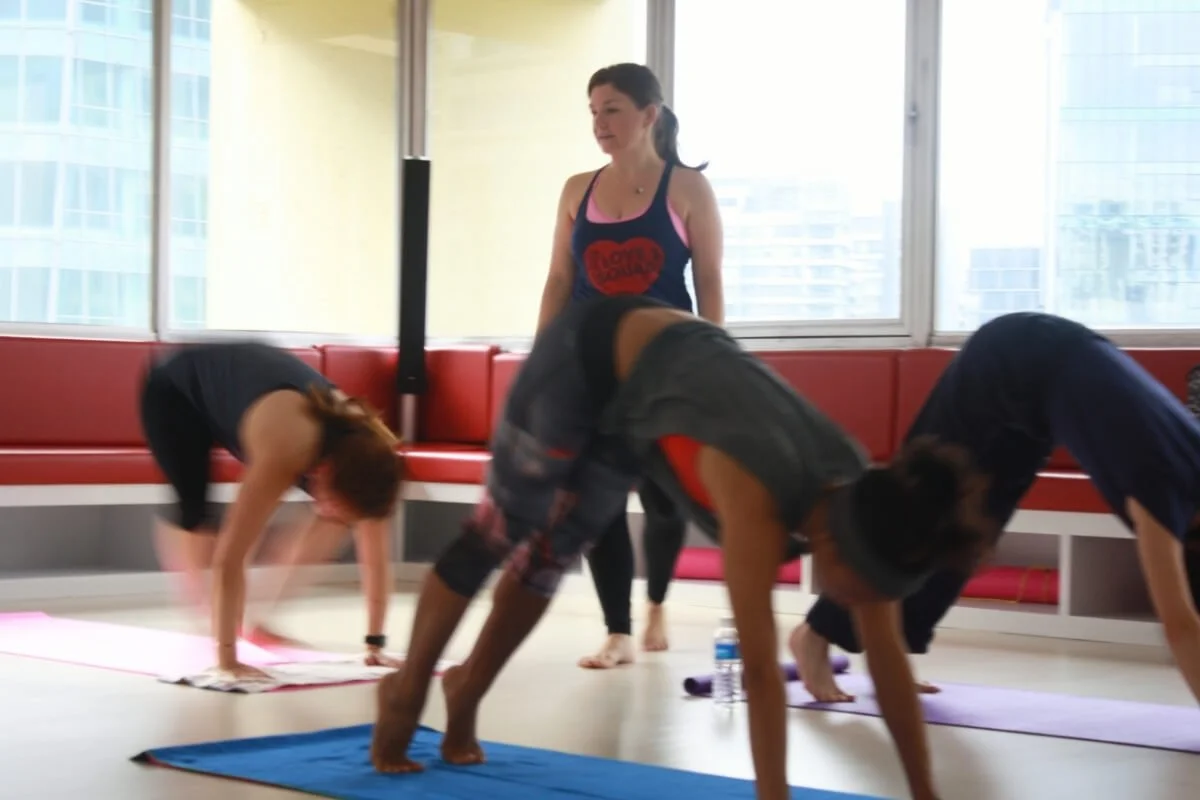 Power vinyasa class showing physical challenge appropriate for the yoga injury remodeling phase