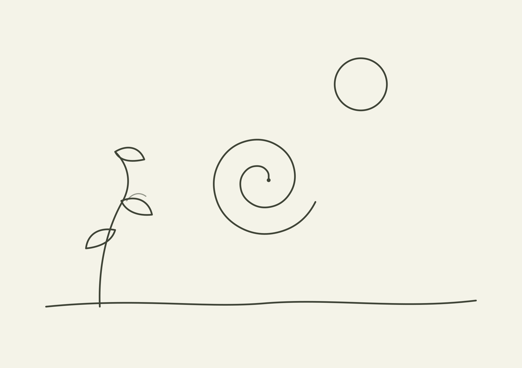 Line drawing of a plant with a spiral flower and leaves, on a light background.