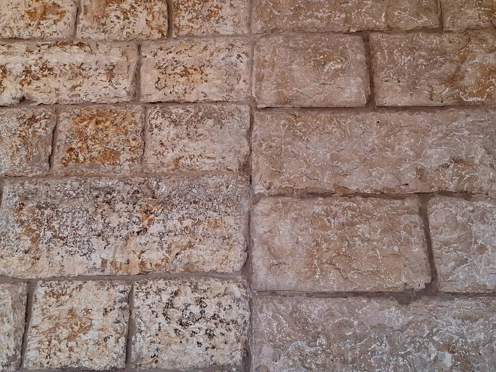 תמונה של WhatsApp‏ 2025-09-10 בשעה 15.46.34_8eda48c4.jpg