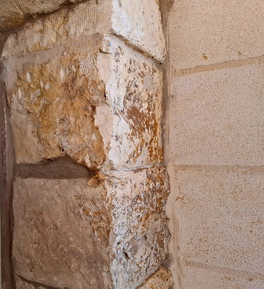 תמונה של WhatsApp‏ 2025-09-10 בשעה 15.46.36_c41a3172.jpg