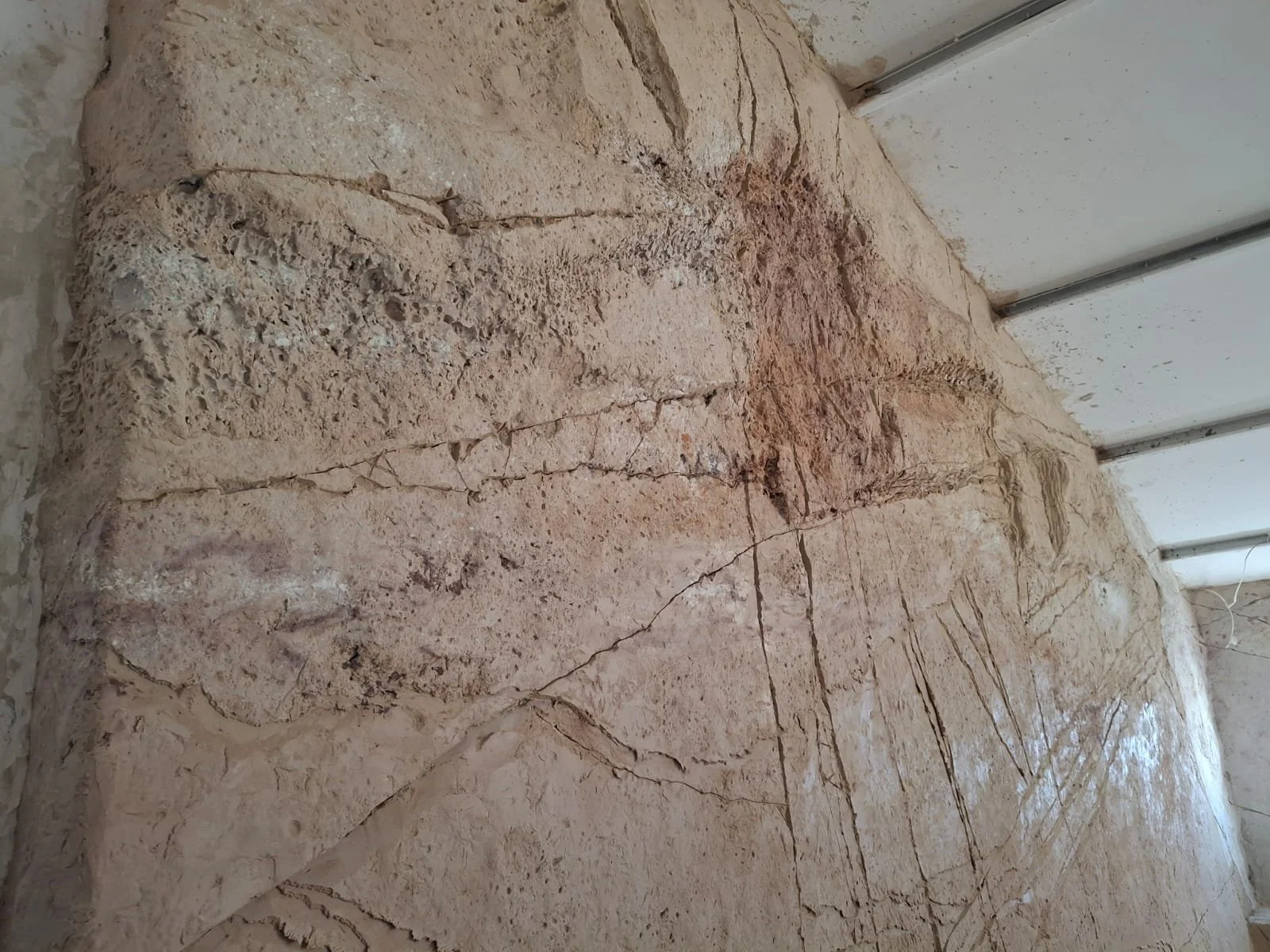 WhatsApp Image 2025-08-26 at 18.21.23.jpeg