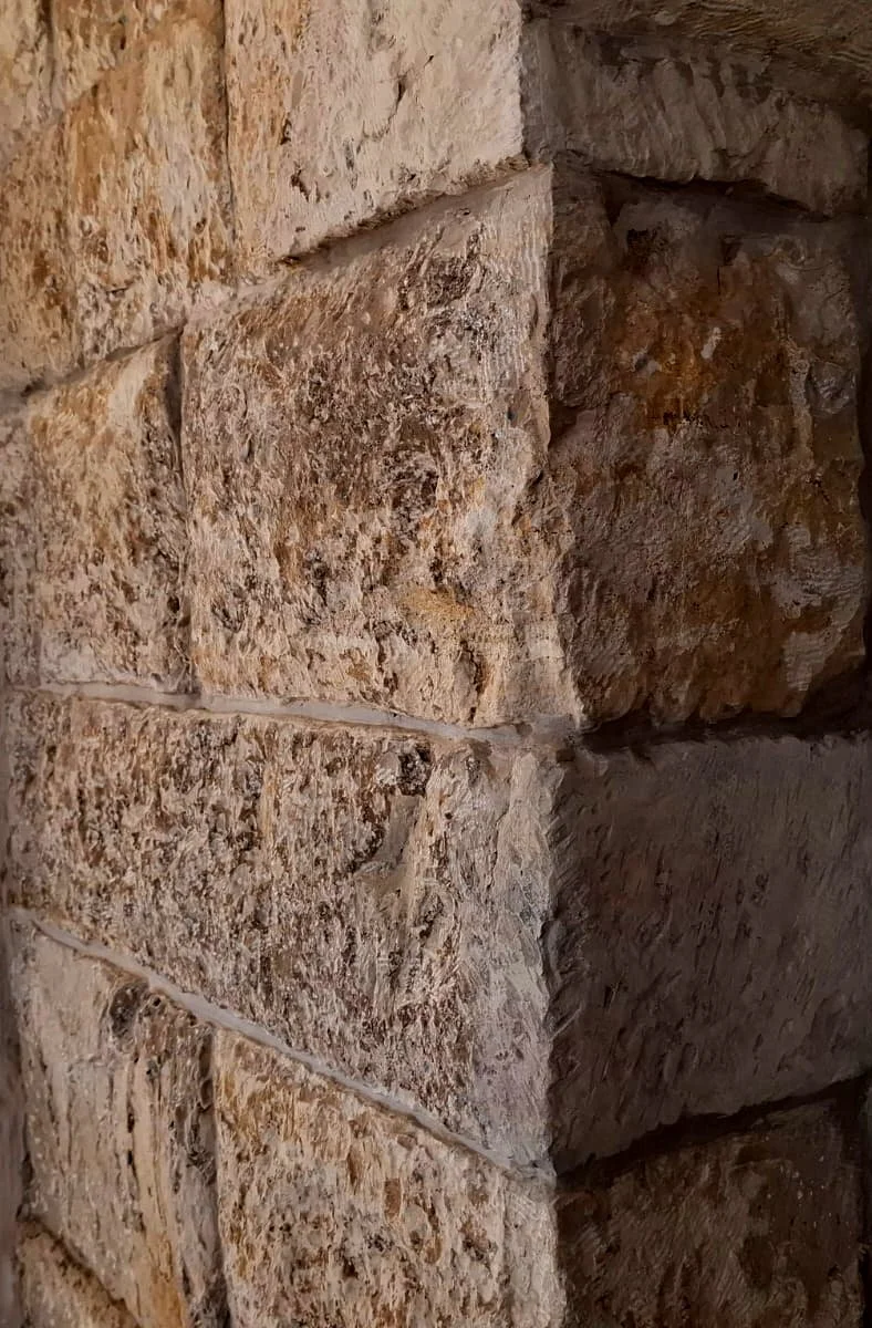 תמונה של WhatsApp‏ 2025-09-10 בשעה 15.46.37_c981e8d0.jpg