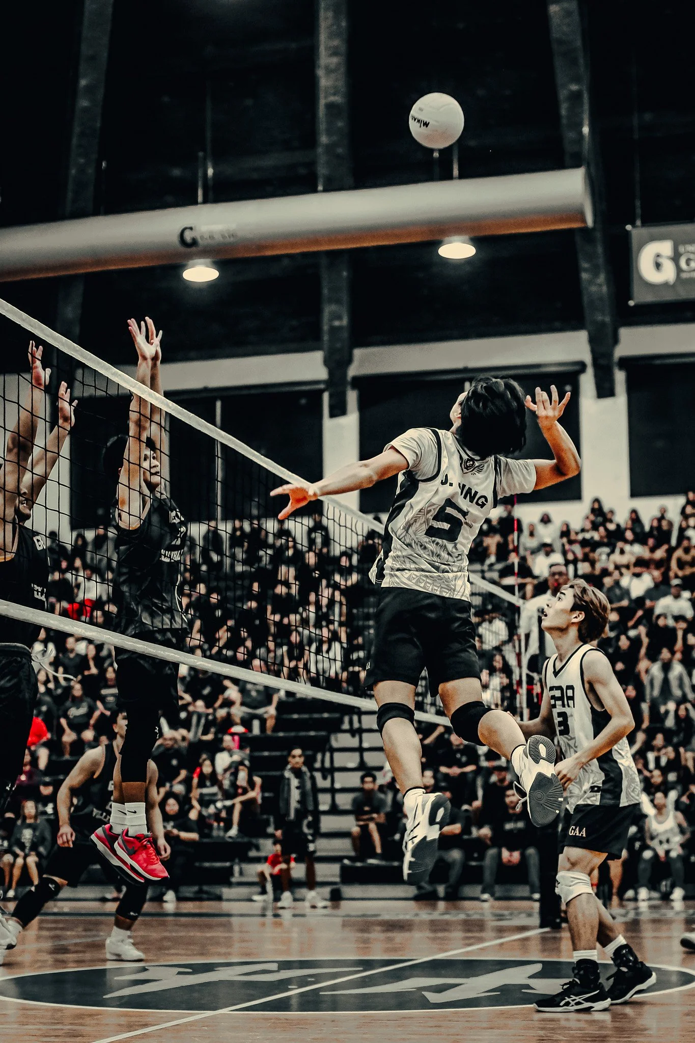 Indoor volleyball game with players jumping near the net, crowd watching in the background.