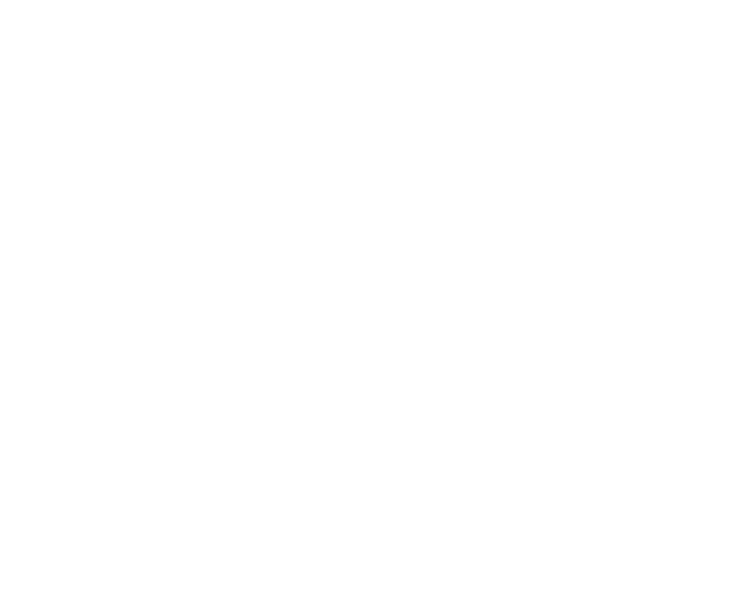 Studio Elva