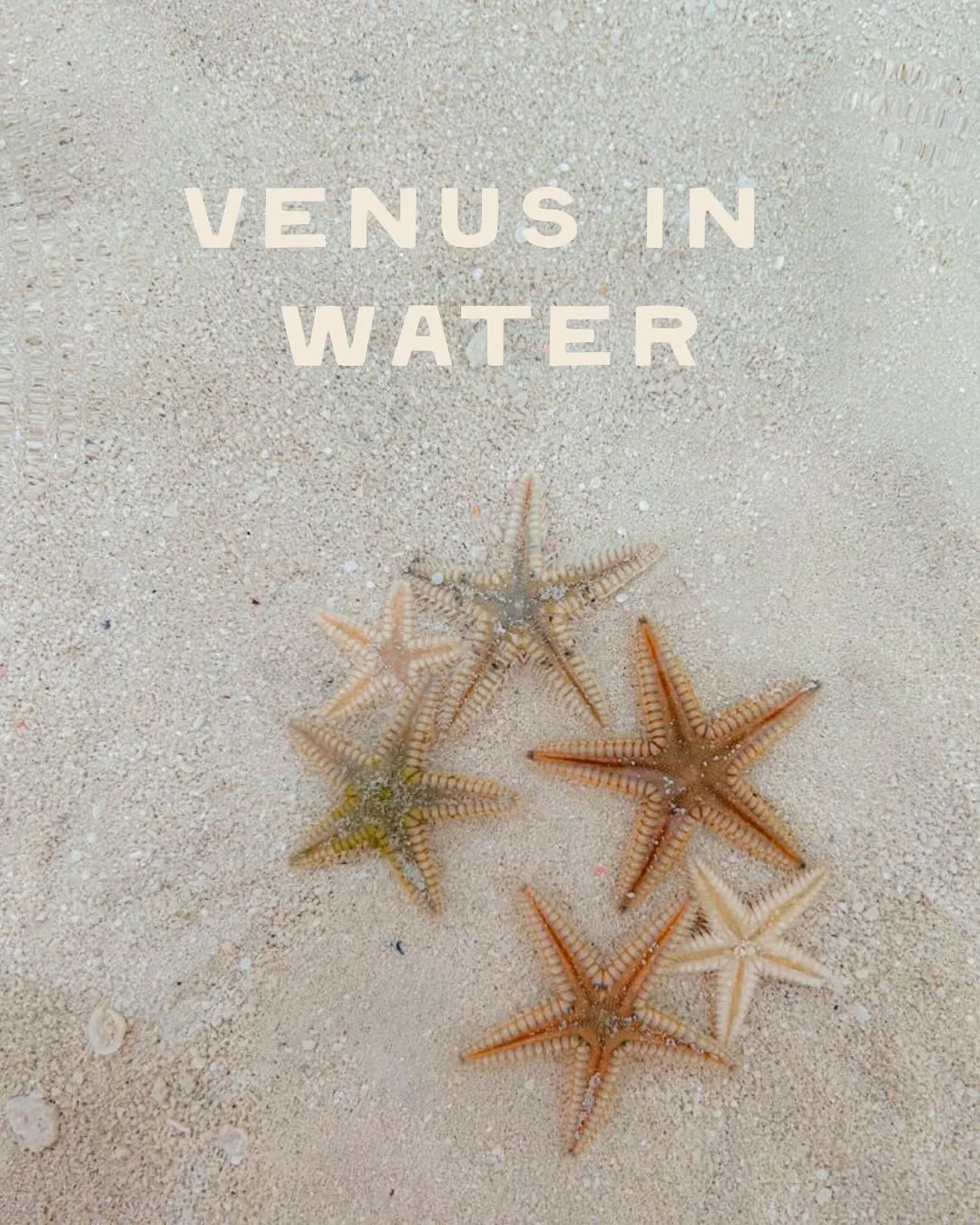 Venus is the planet of love, pleasure and happiness. Where Venus sits in your chart - by sign, house and aspect - tells you how you experience joy. It speaks to love and intimacy, who, what and how we attract. It tells you how you flirt, love and giv