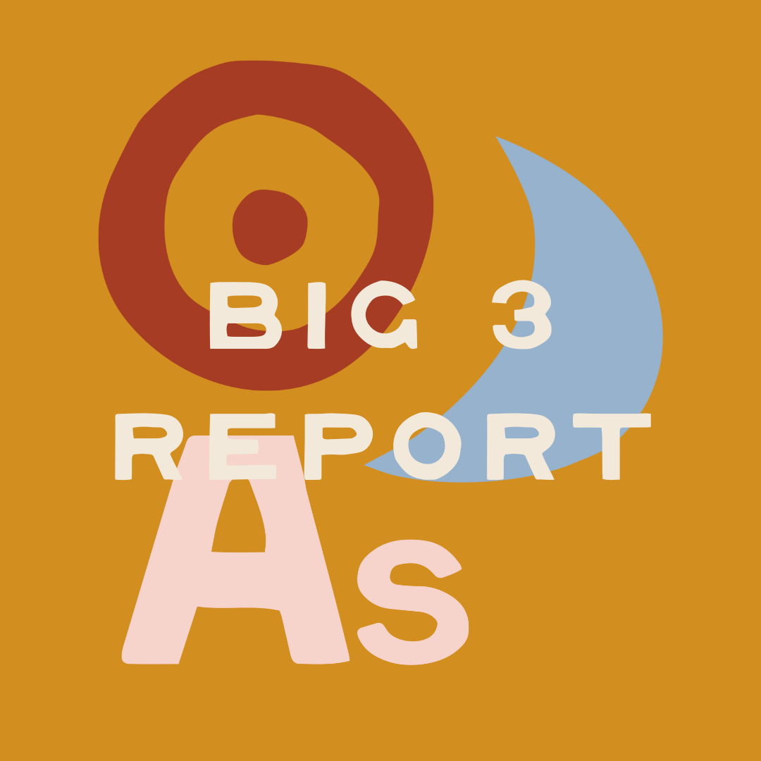 BIG 3 written report.png