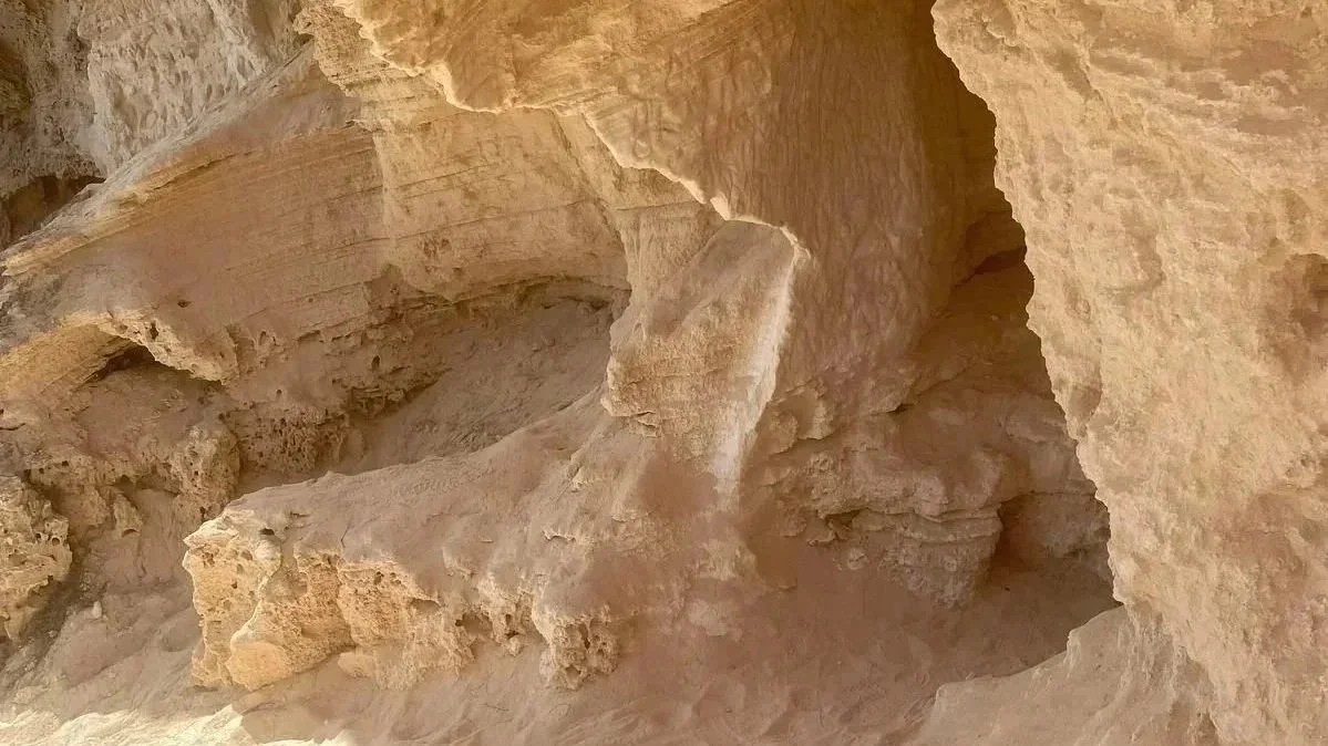 Close-up of beige and light brown natural rock formations with textured surfaces and small caves.