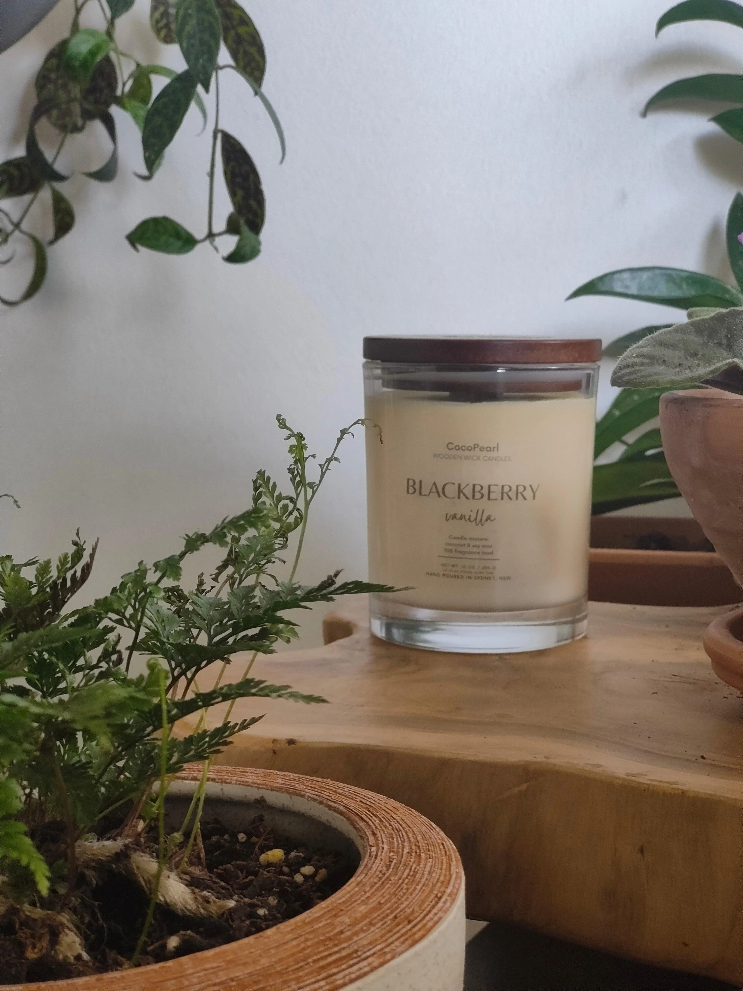 blackberry-and-vanilla-or-wooden-wick-cocopearl-candles-1.jpg