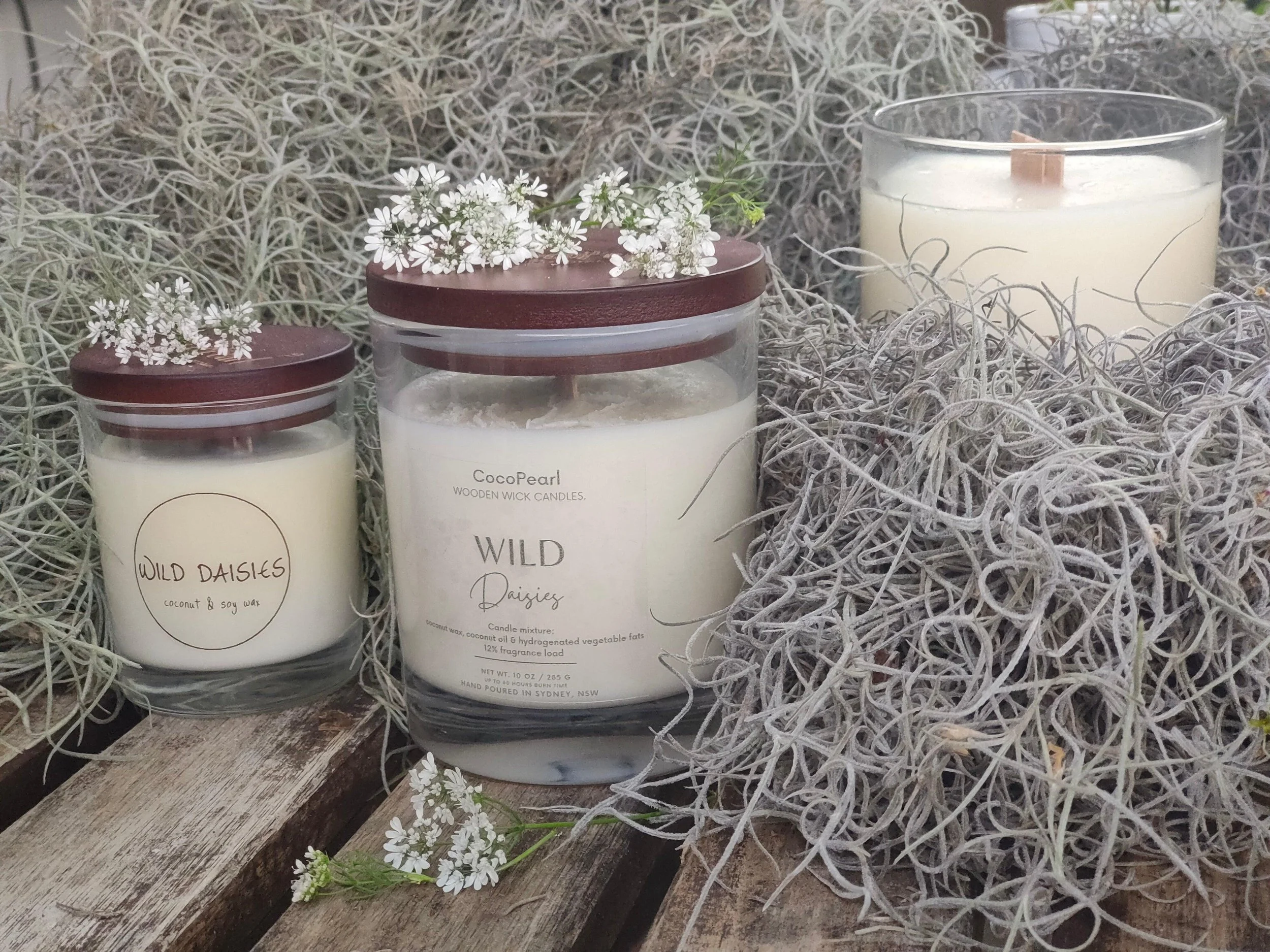 wild-daisies-or-wooden-wick-cocopearl-candles-3.jpg