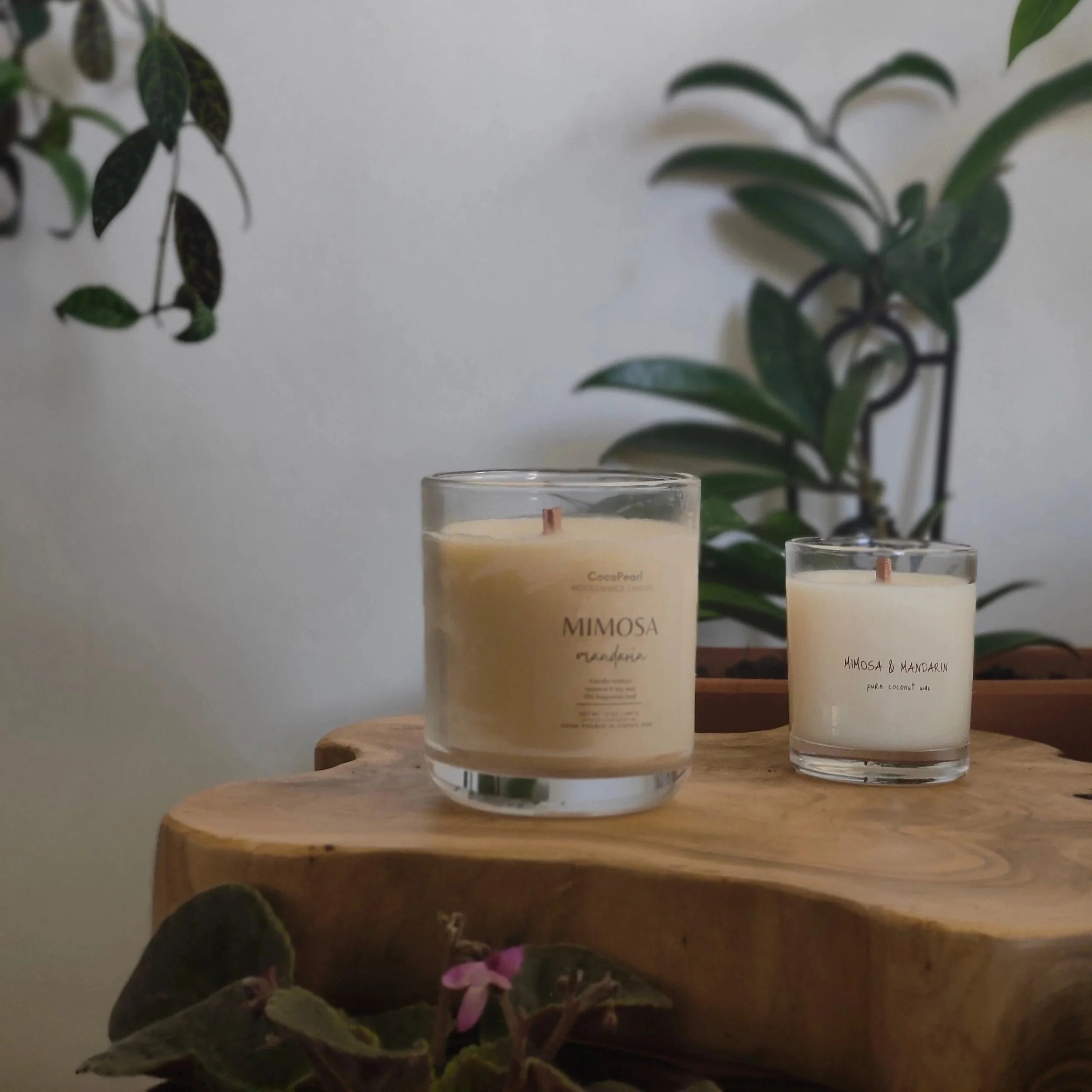 mimosa-and-mandarin-or-wooden-wick-cocopearl-candles.jpg