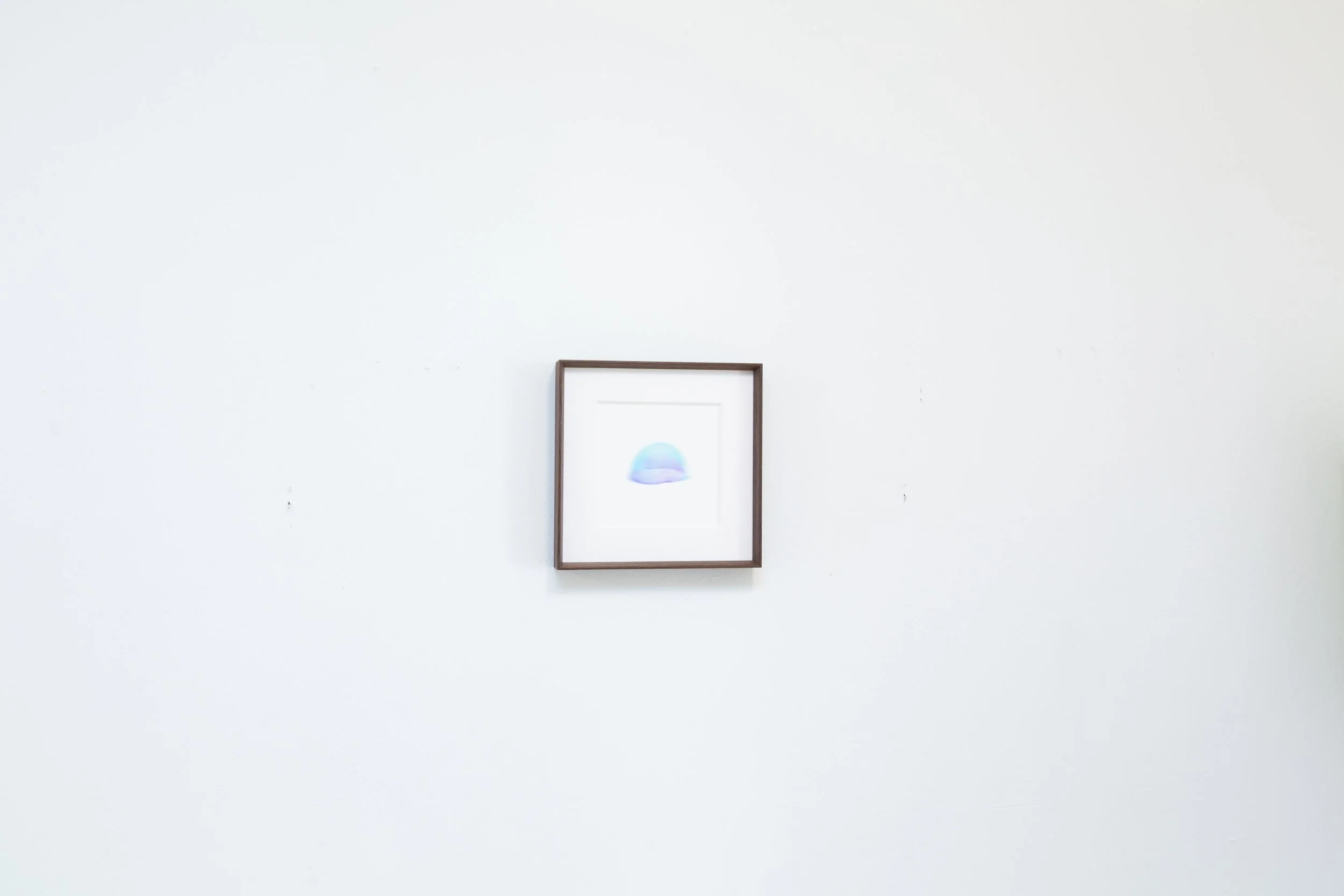 Amphiphile Chamomile_installation view 8.jpg