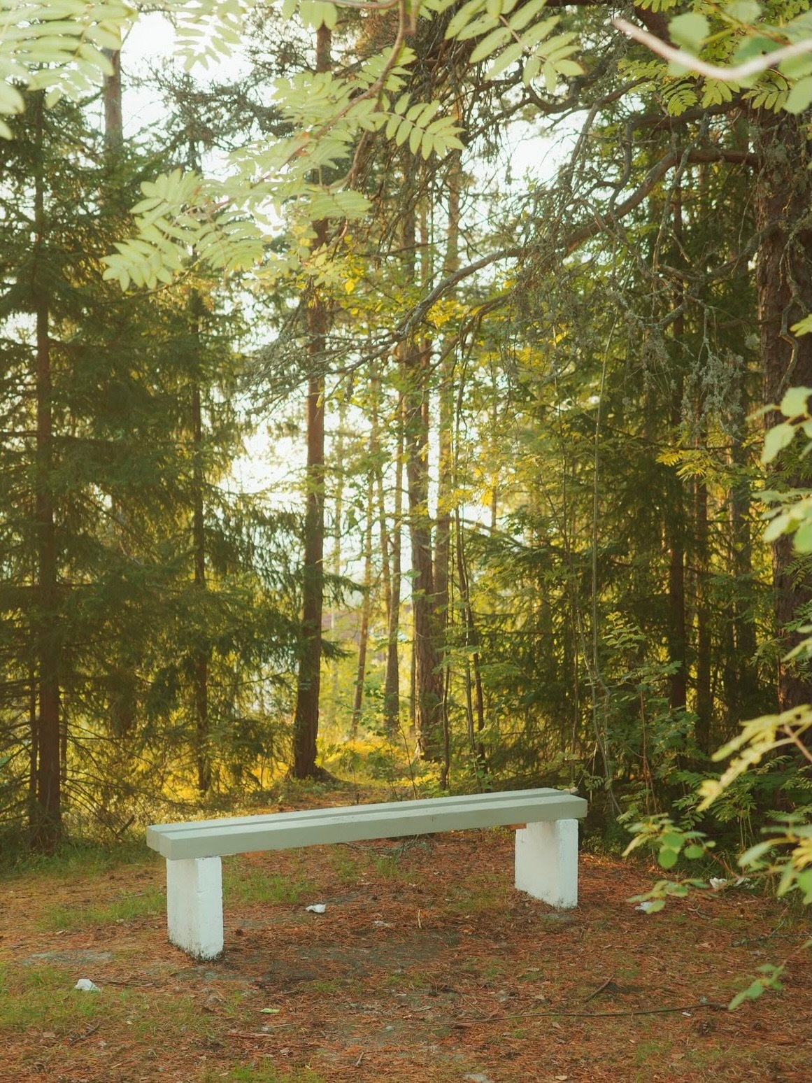 Ruben Maclean _ @rbnmcln explores belonging not as geography, but as emotional landscape. 
The bench appears as a quiet witness to passing time, shared memories, and the invisible architecture of human connection.

The work speaks about how we carry 