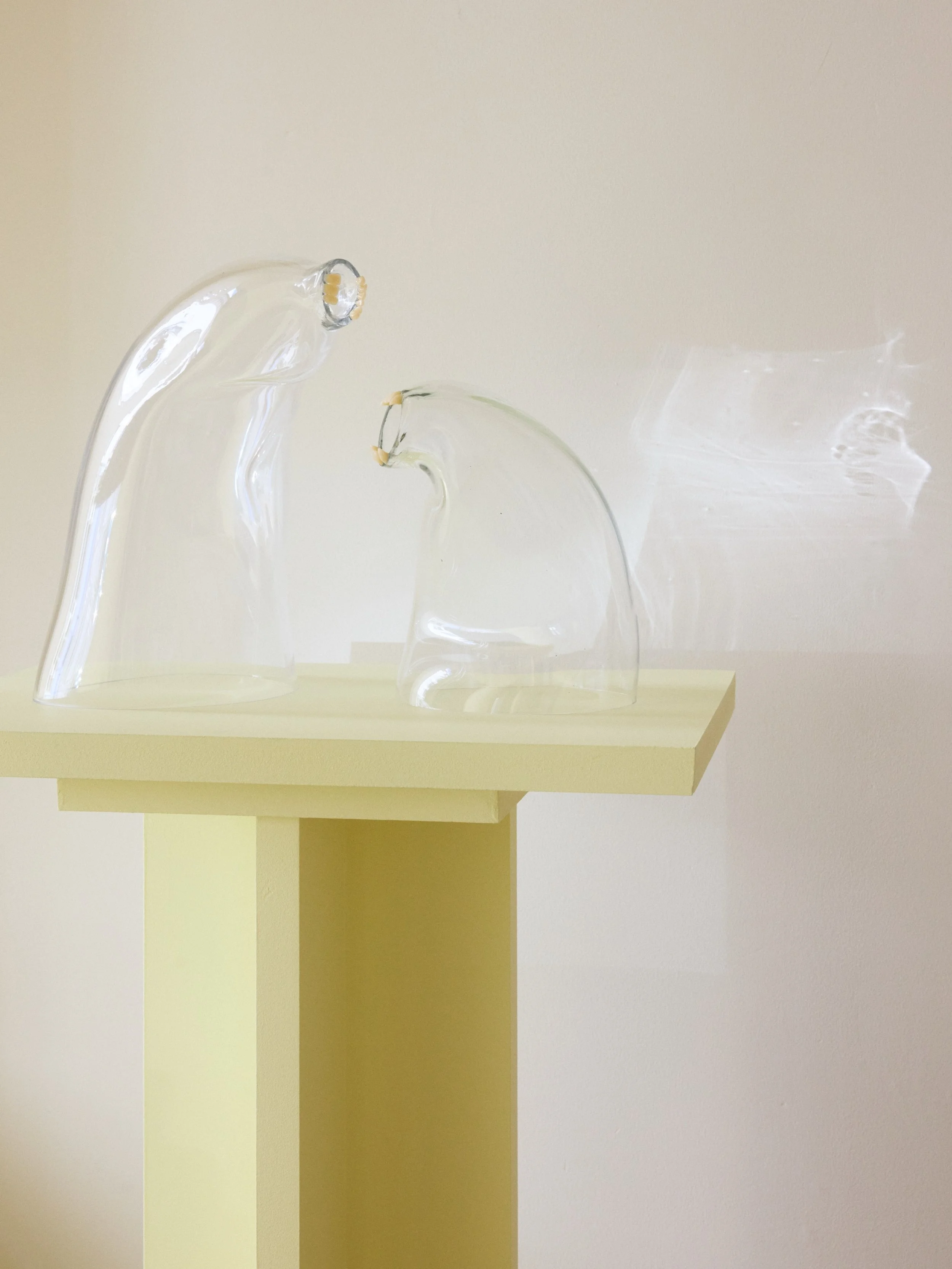 Ida Siebke transforms blown glass into vulnerable sculptural forms that seem to carry emotion within them.

Her works explore how anxiety and psychological tension can manifest physically beneath the surface.

The sculptures appear soft, swollen, and