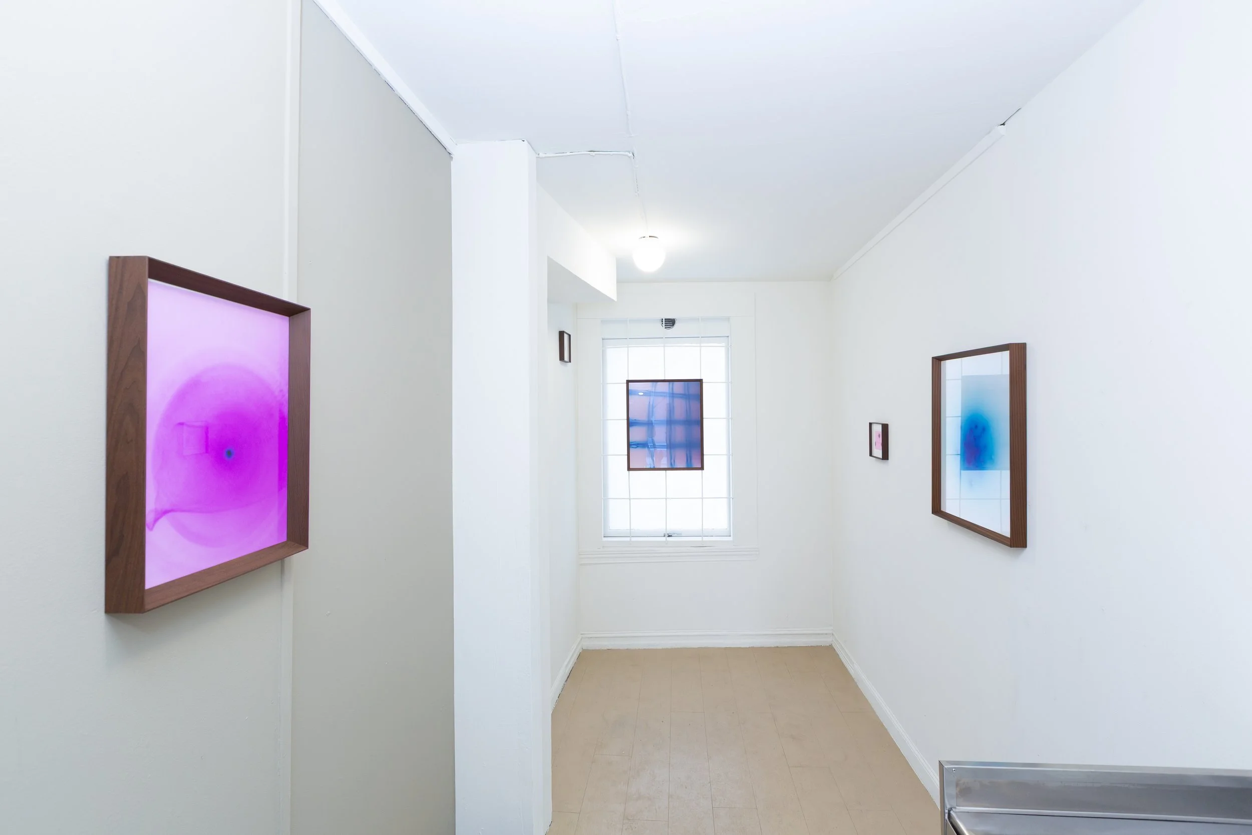 Amphiphile Chamomile_installation view 11.jpg