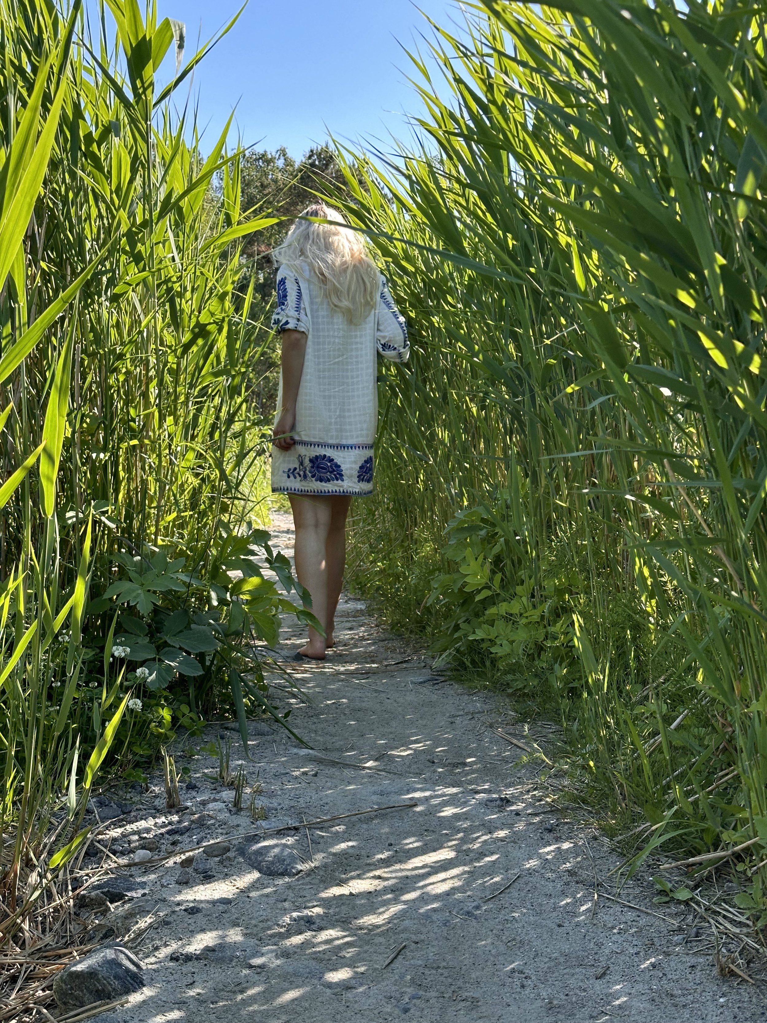 Kvinne som går på sti omgitt av siv – illustrasjon av samtaleterapi i naturen på Fevik i Grimstad