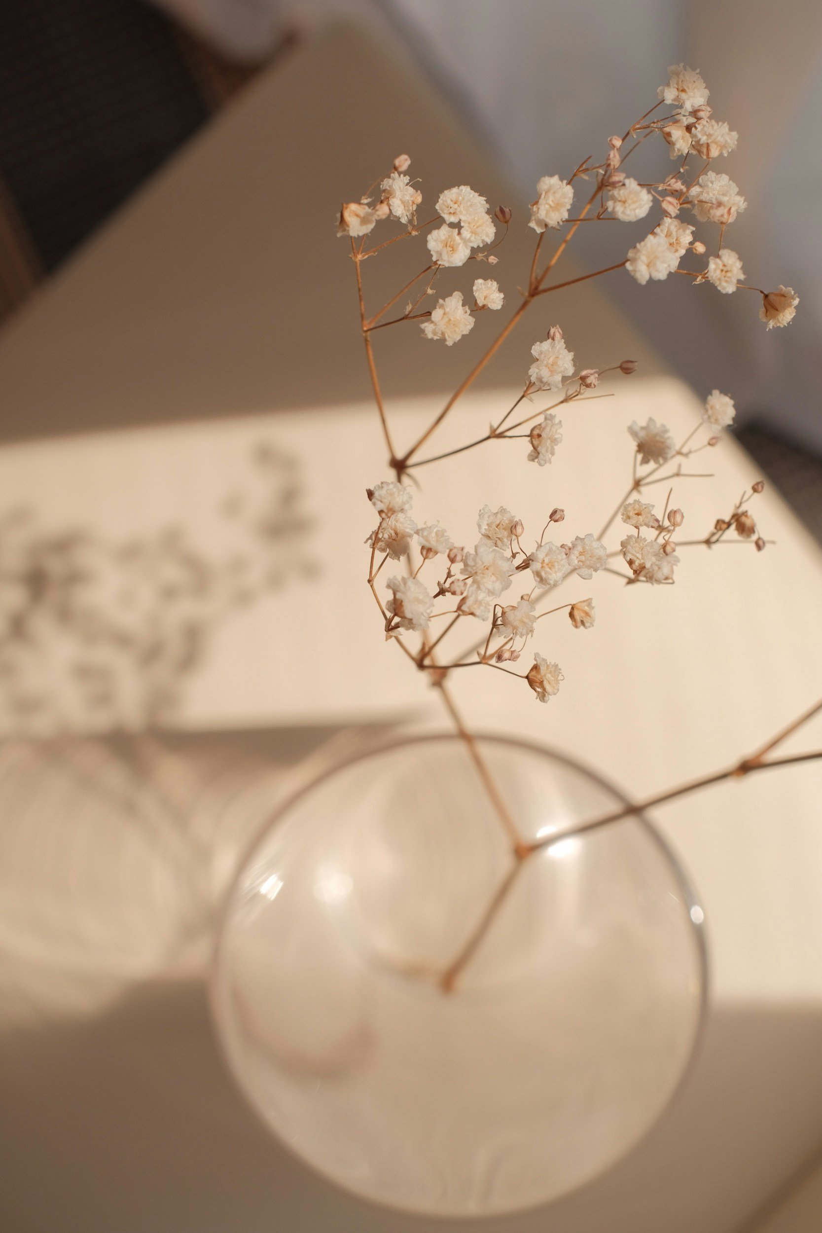 A small dried white flower with stems inside a glass vase, seen from above, with a blurred background.