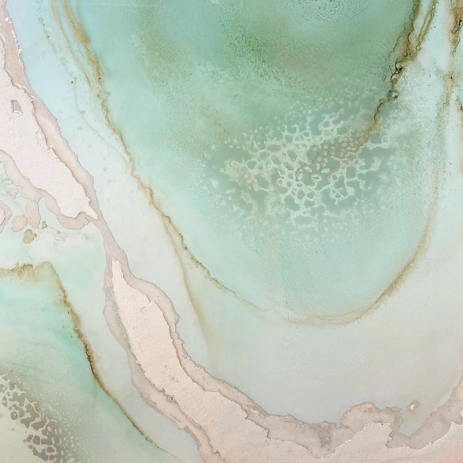 Shallows-21.jpg