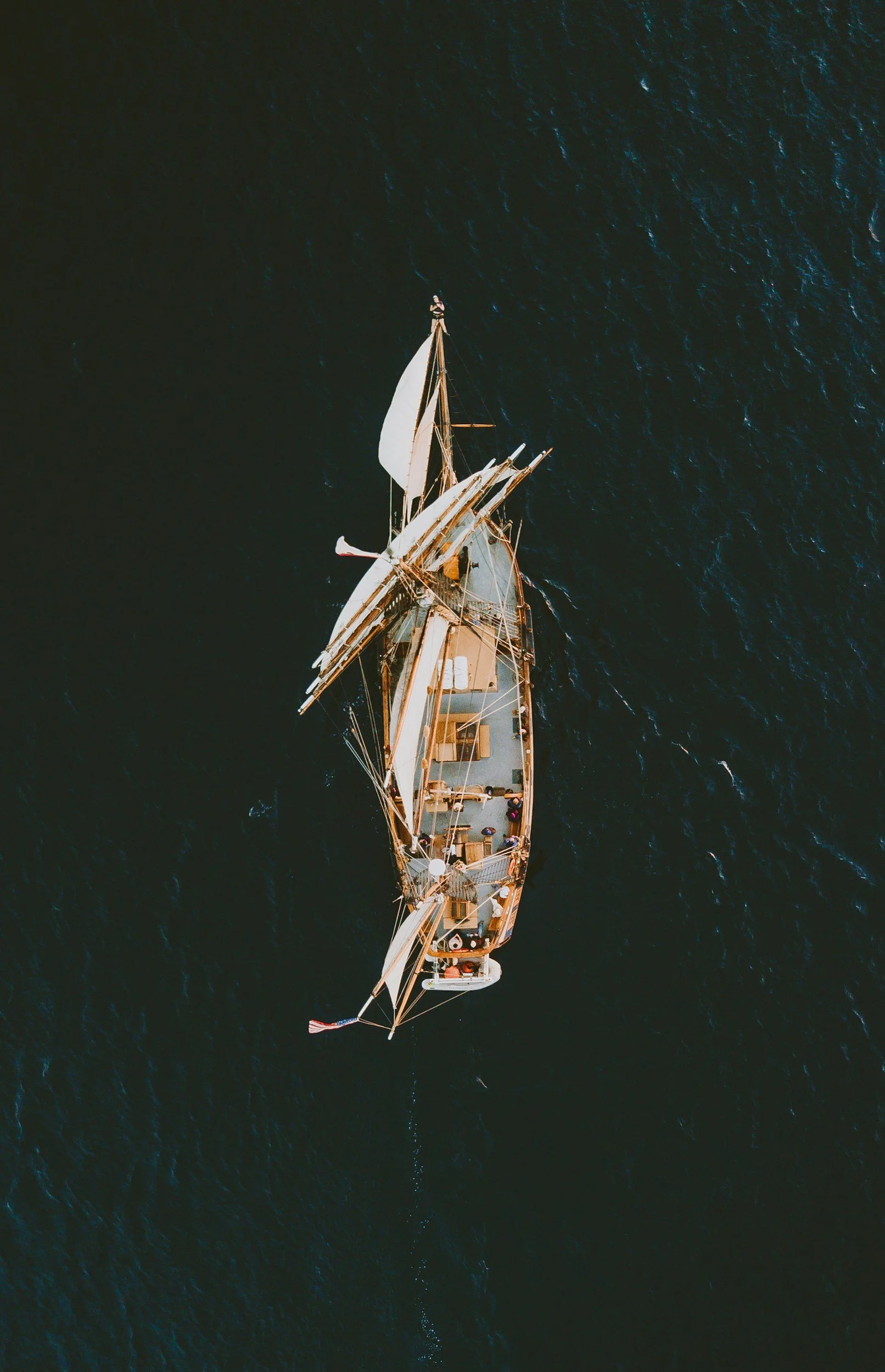 India Search Fund, Cicero Capital