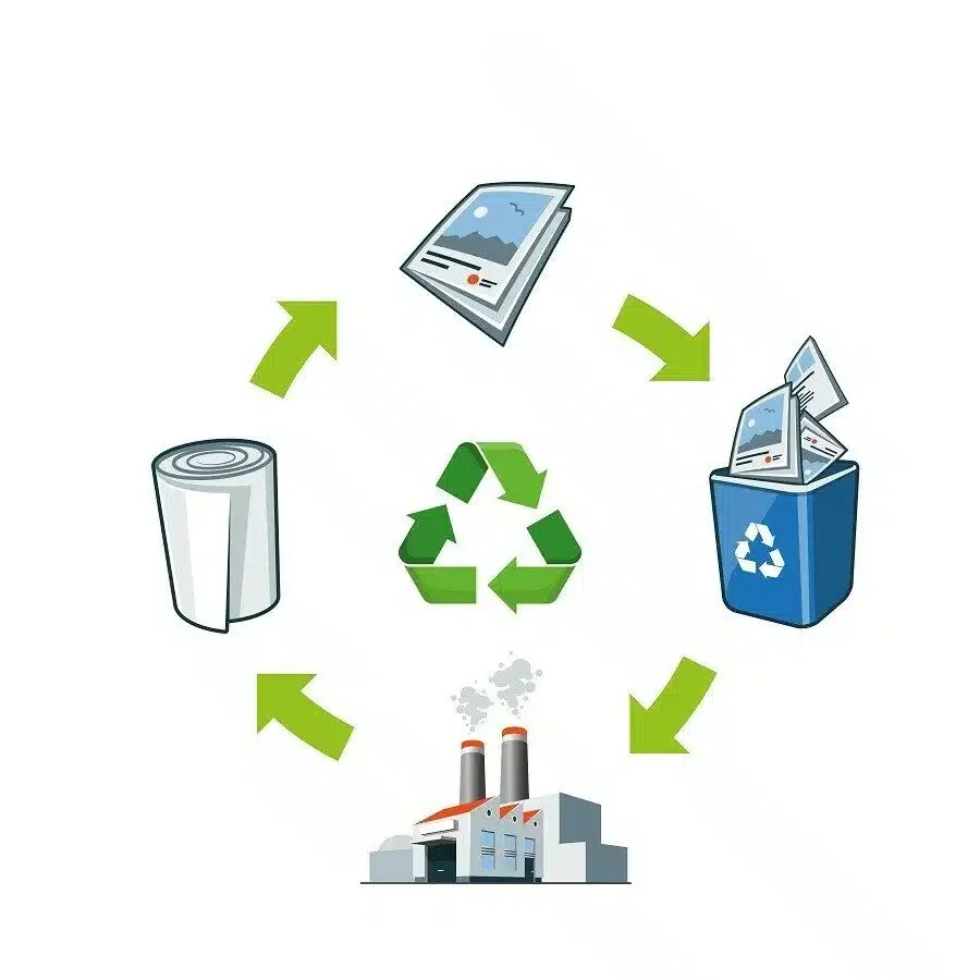 Cycle de recyclage du papier avec des flèches vertes reliant des étapes : papiers, bac de recyclage, usine, rouleau de papier.