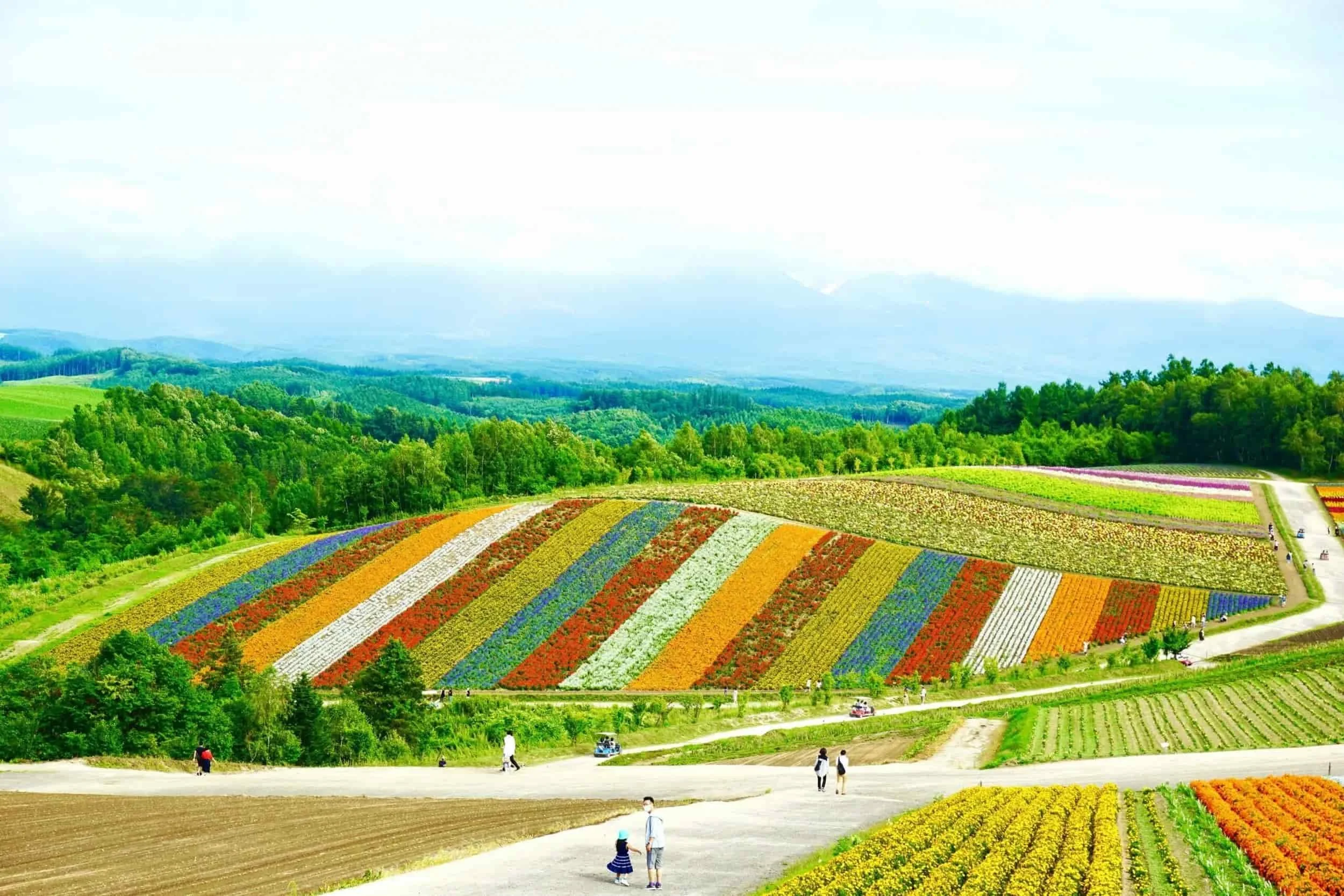 Voyager à Hokkaidō : guide complet des incontournables