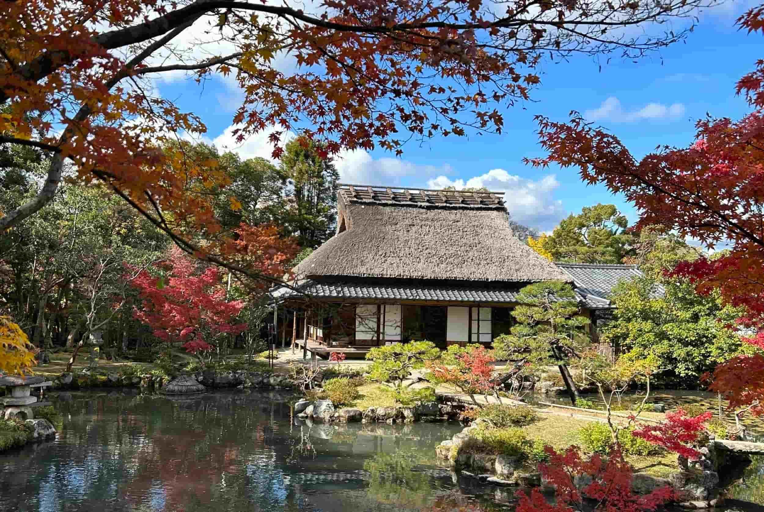Les meilleures saisons pour visiter le Japon : nos conseils