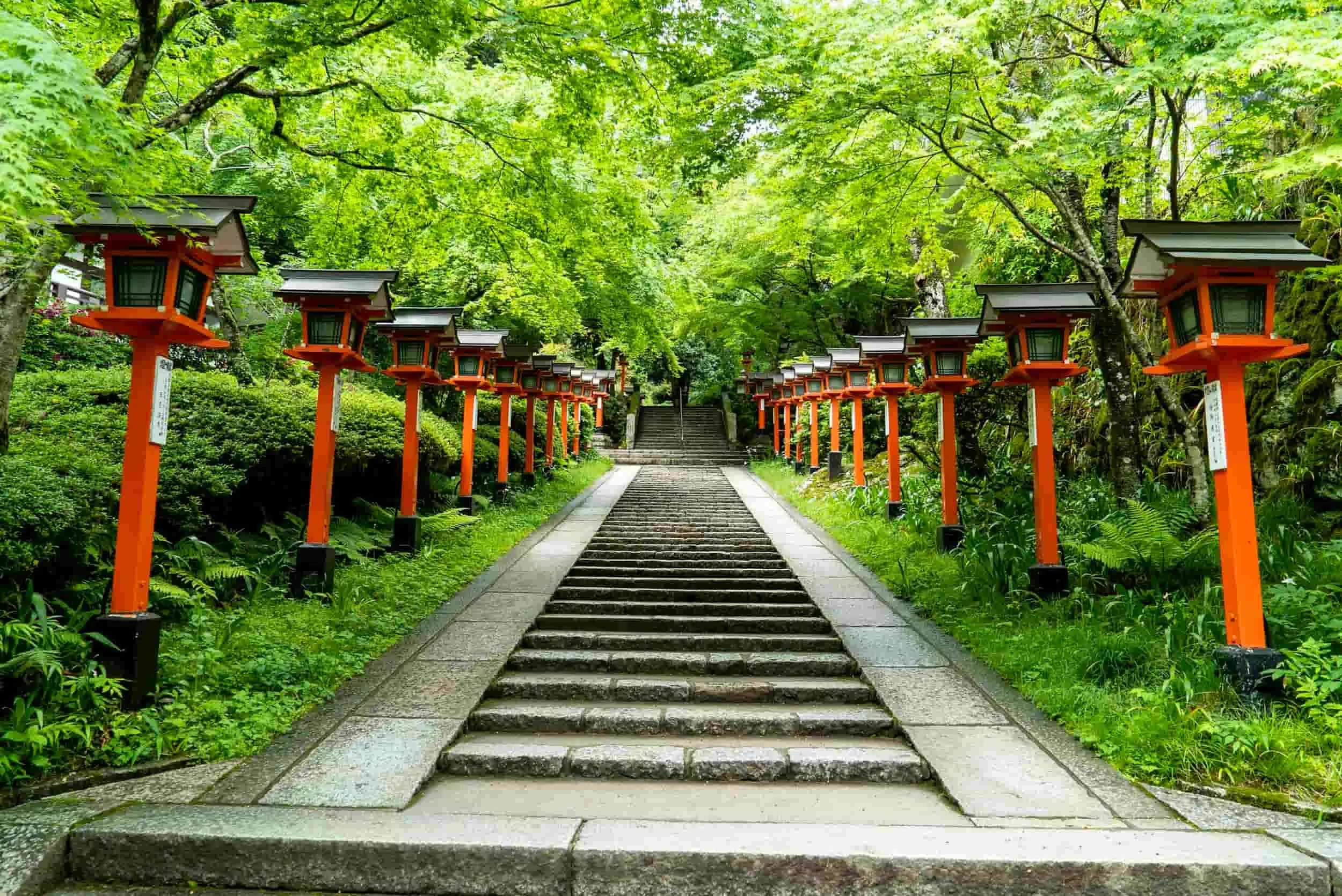 Chemin de pierre bordé de lanternes rouges vers un temple, ambiance japonaise.