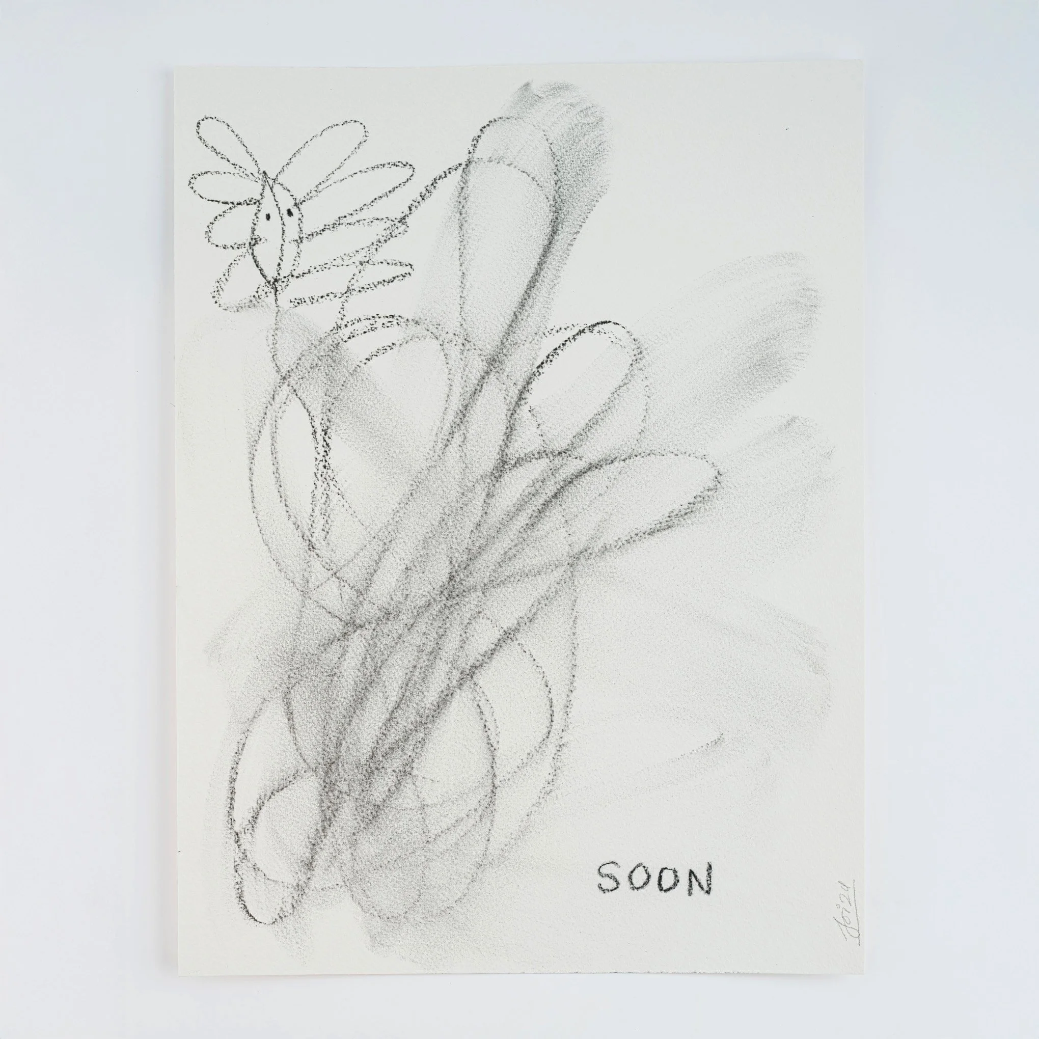 Clarity (a quest in cycles) 2024, charcoal on paper — 41 x 31cm. 