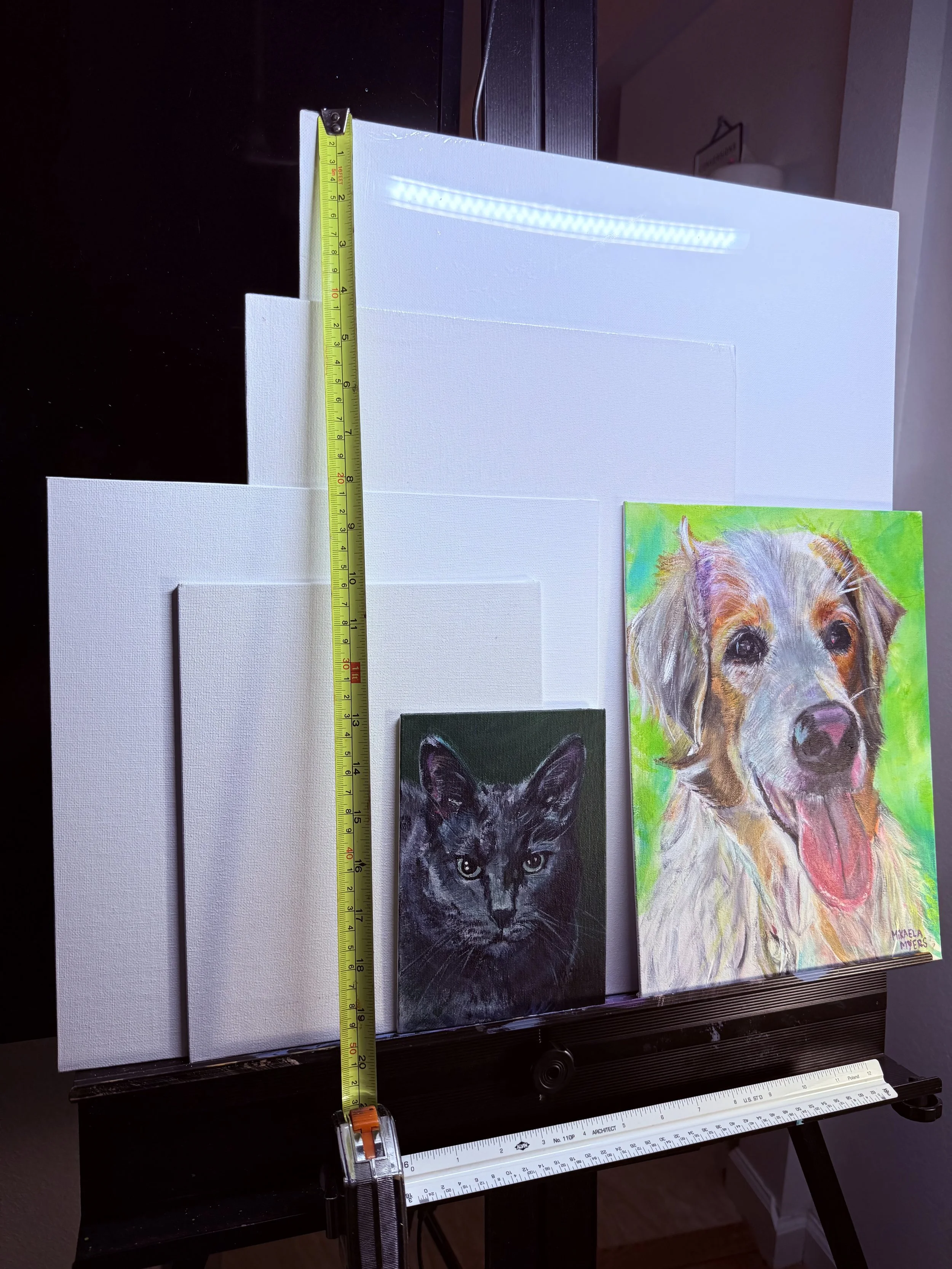 A collection of canvas panels, a painted black cat portrait, and a painted dog portrait on an art easel, with measuring tapes indicating their sizes, in a studio setting.