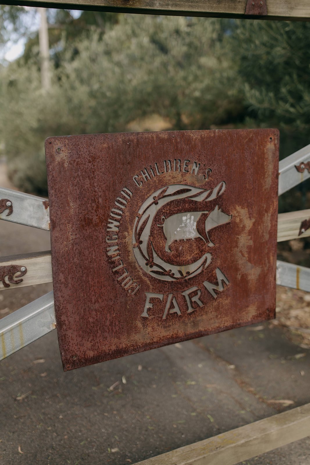 nathan-rachael-collingwood-childrens-farm-wedding-venue.jpg
