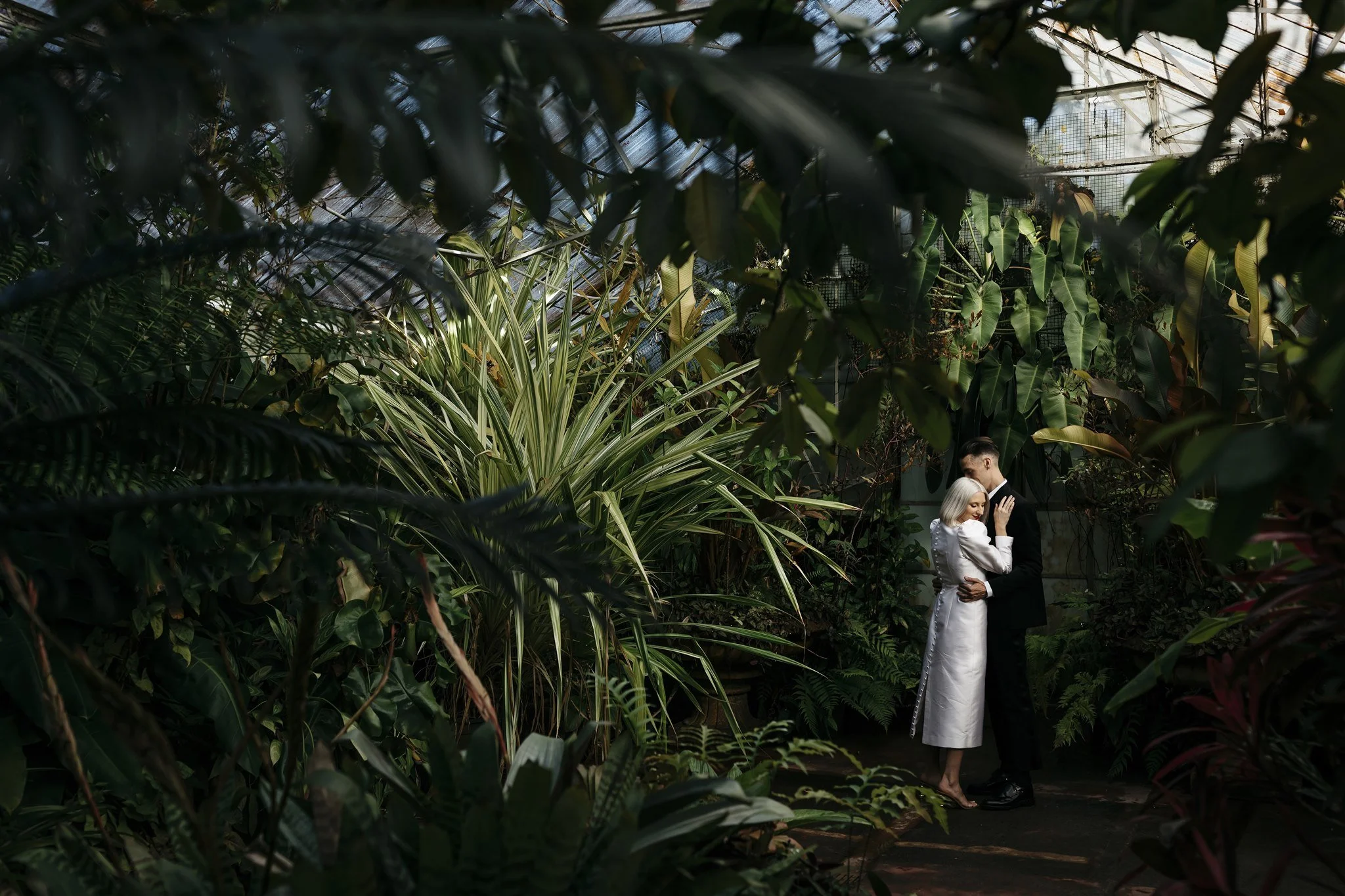 will-kat-royal-botanic-gardens-melbourne-wedding-romantic-sunrise-portrait.jpg