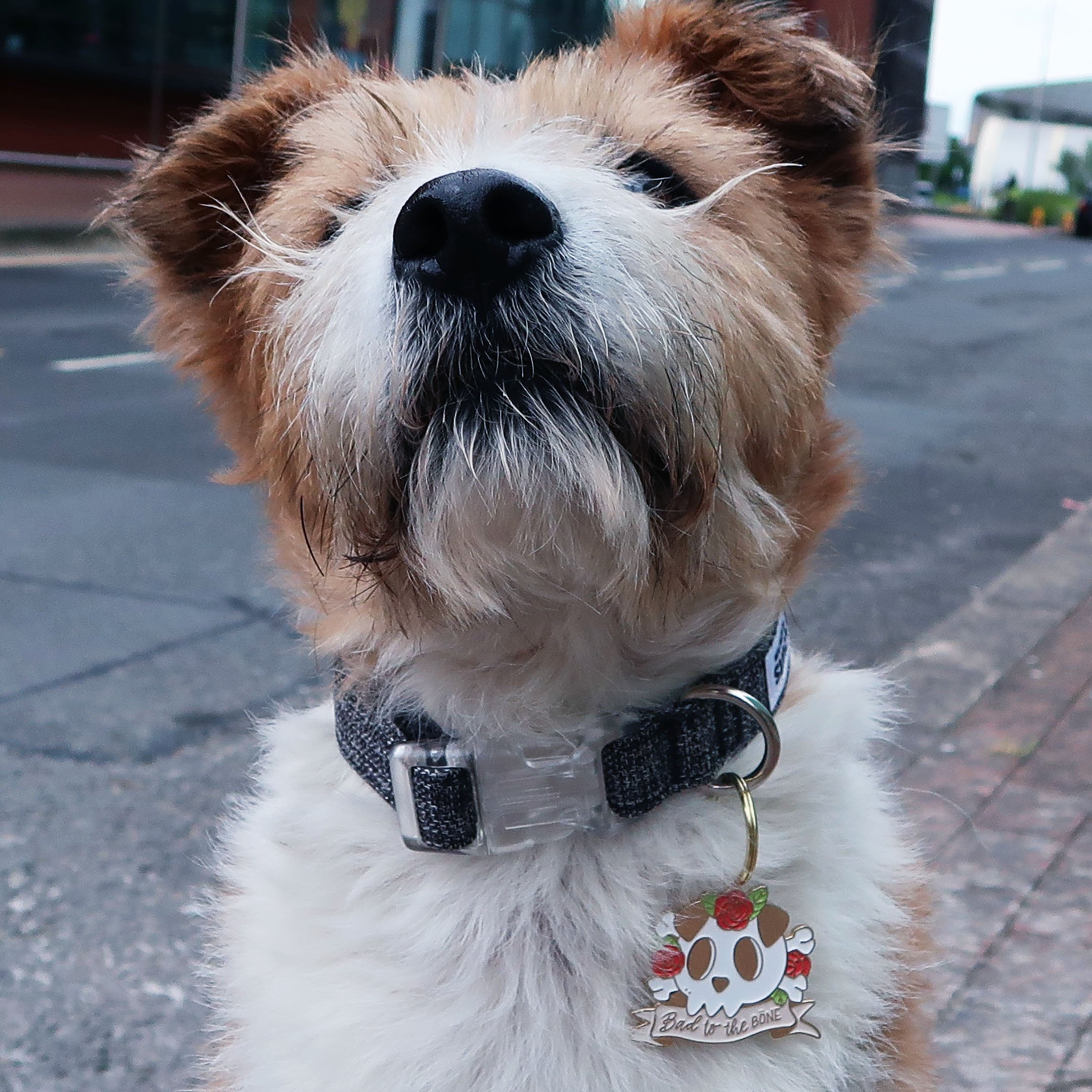 badtothebone_ogies copy 2.jpg