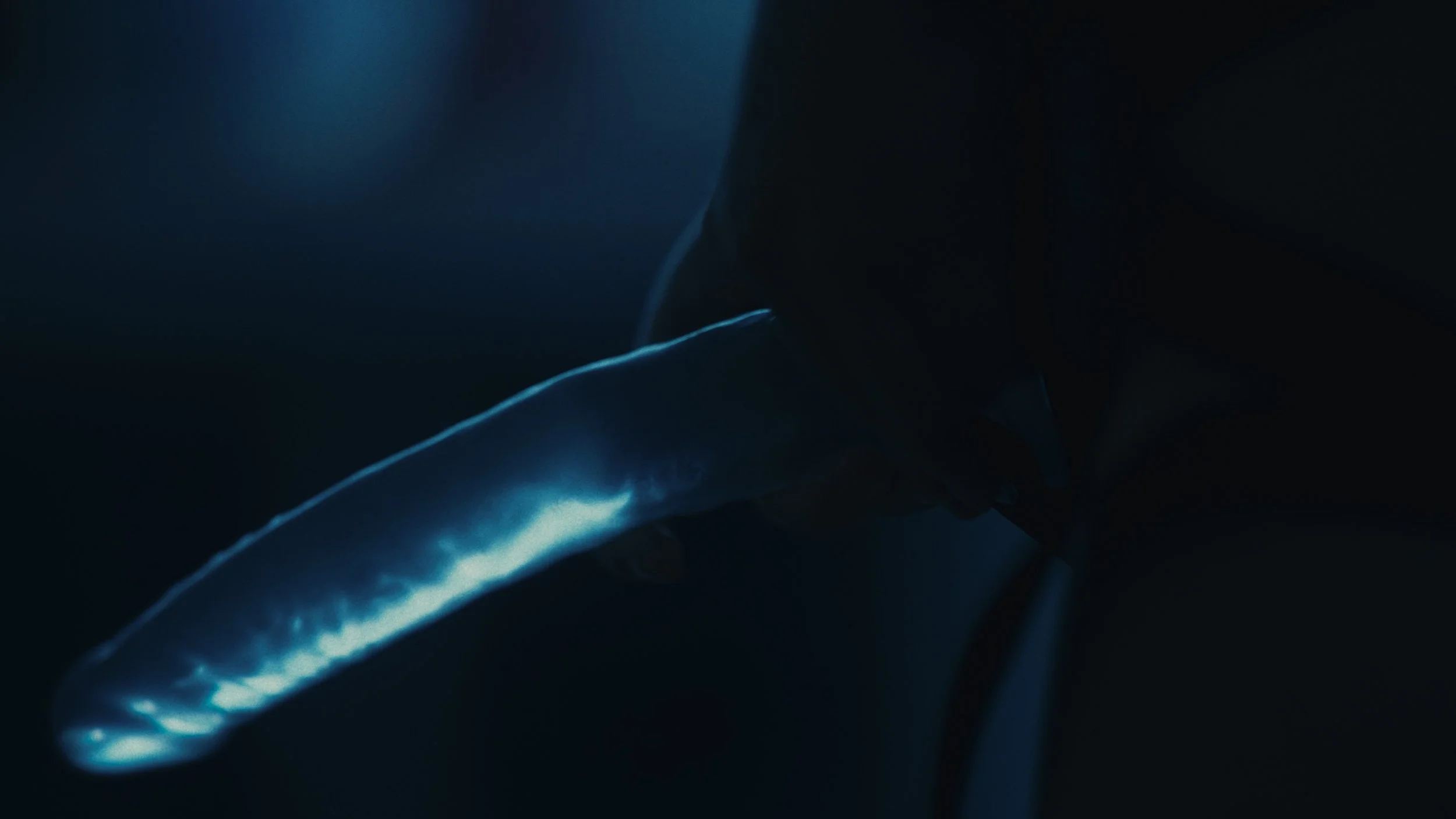 Figura umana parzialmente visibile in un ambiente buio, con luce blu che illumina una parte del corpo che sembra essere il braccio o la mano.