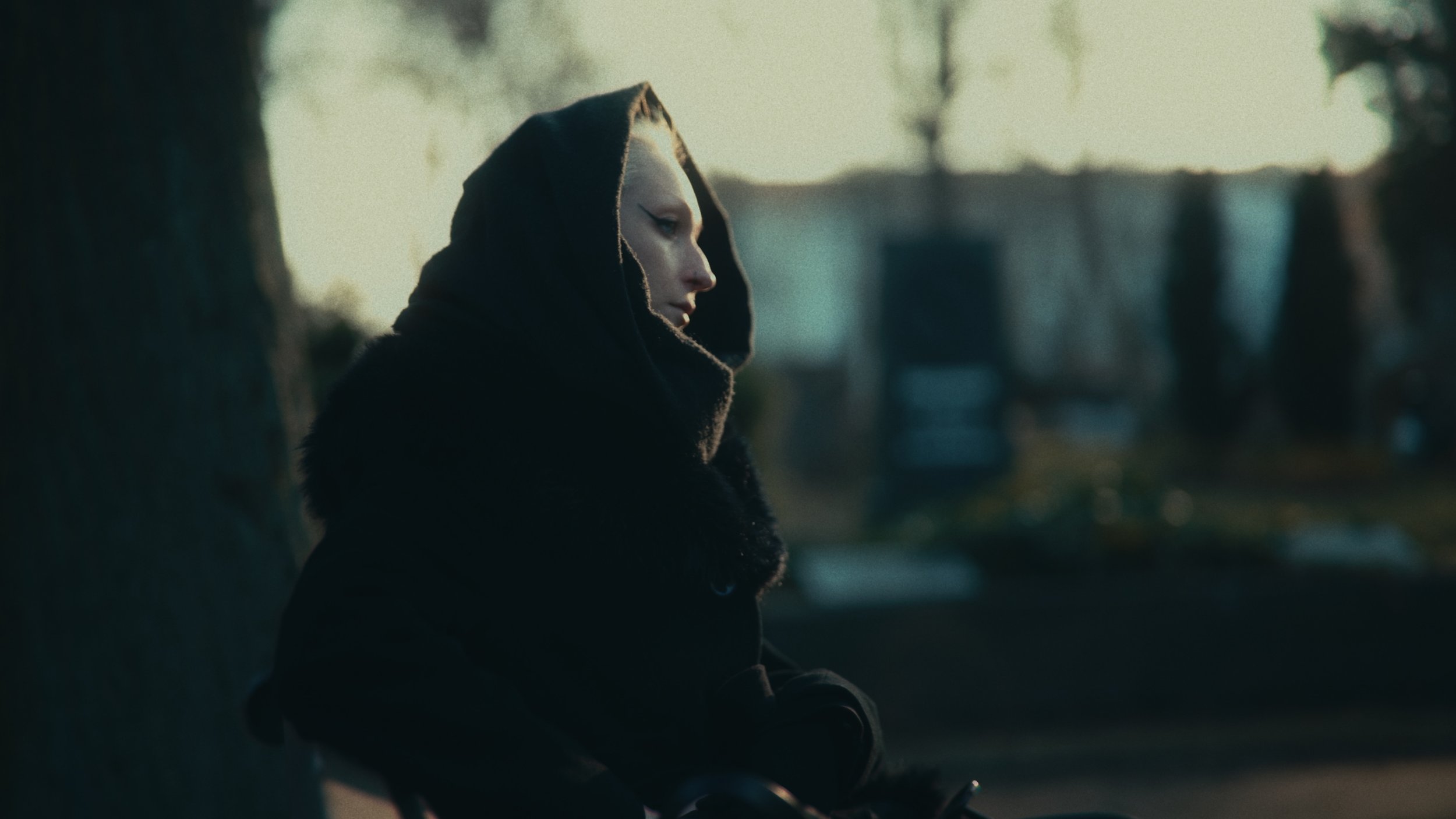 Ragazza con cappuccio nero seduta contro un albero, viso in profilo, ambientazione esterna al tramonto.