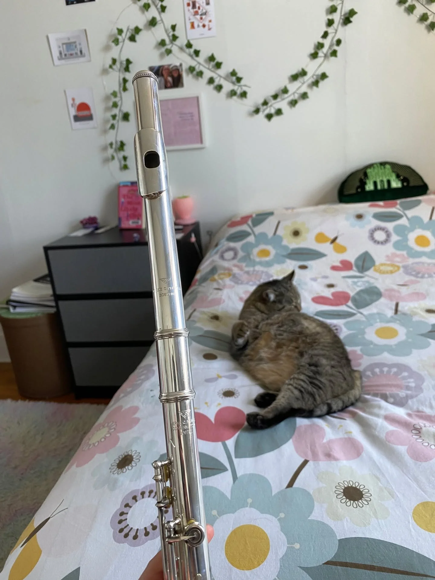 So many of my favourite things in one picture 😍

My flute, Cabbi the cat, my flowery bedspread, a Wicked pillow, a picture of my bestie Jackie and me - I quite like how joyful my room is! 🙂

Happy Monday 🩷

#Flute #Happy #Cats #Joy