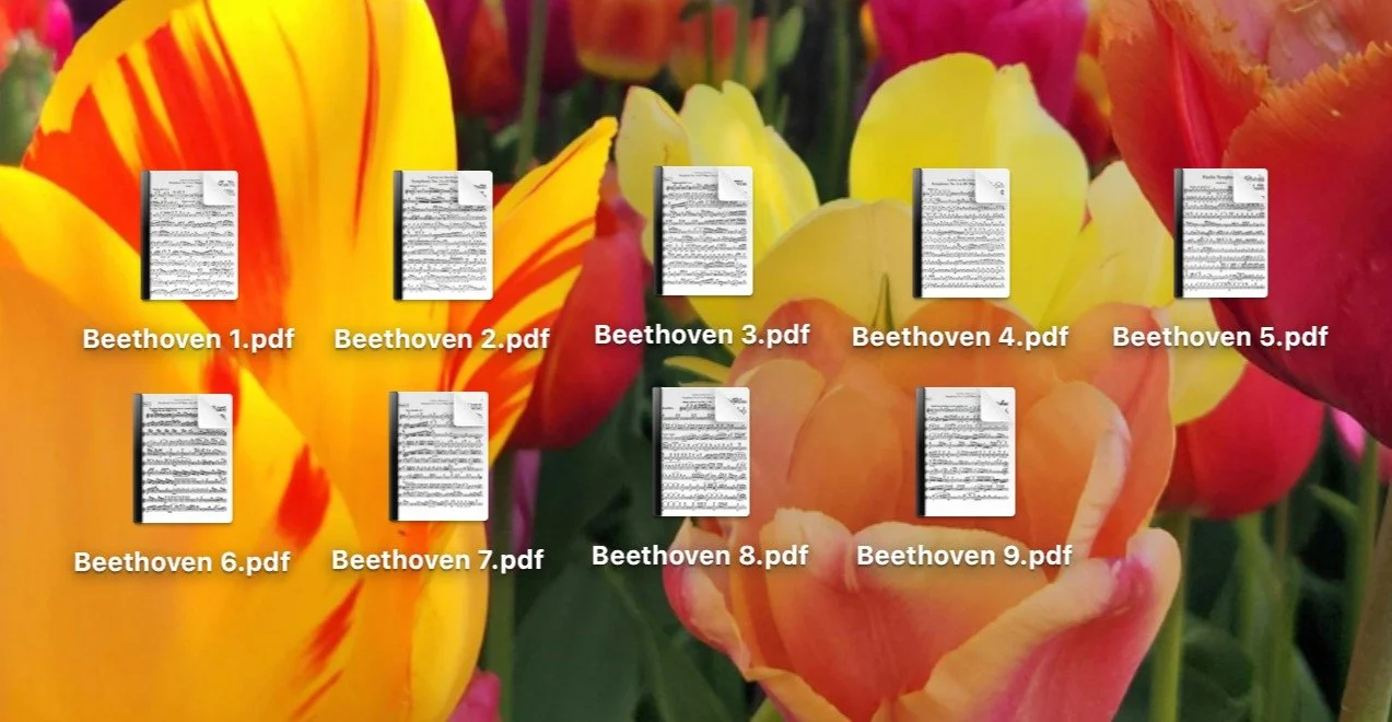 Can there be such a thing as too much Beethoven? 😂&nbsp;(the answer is no, of course)

It&rsquo;s been a few years since I started keeping a spreadsheet of all the orchestral music I&rsquo;ve performed as well as the music I want to learn (it&rsquo;